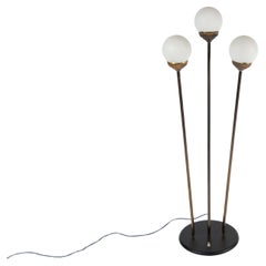 Mid-Century Italian Globe Floor Lamp from Stilnovo, 1950s