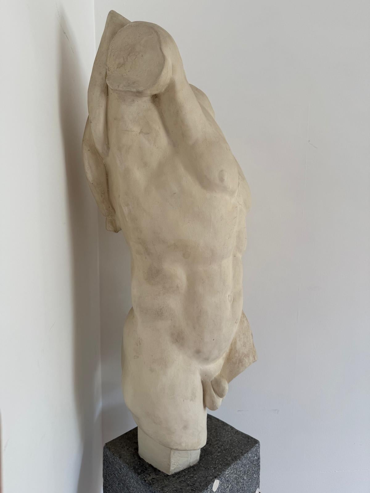 Torso Masculino Italiano De Mitad De Siglo En Composite Vaciado en venta