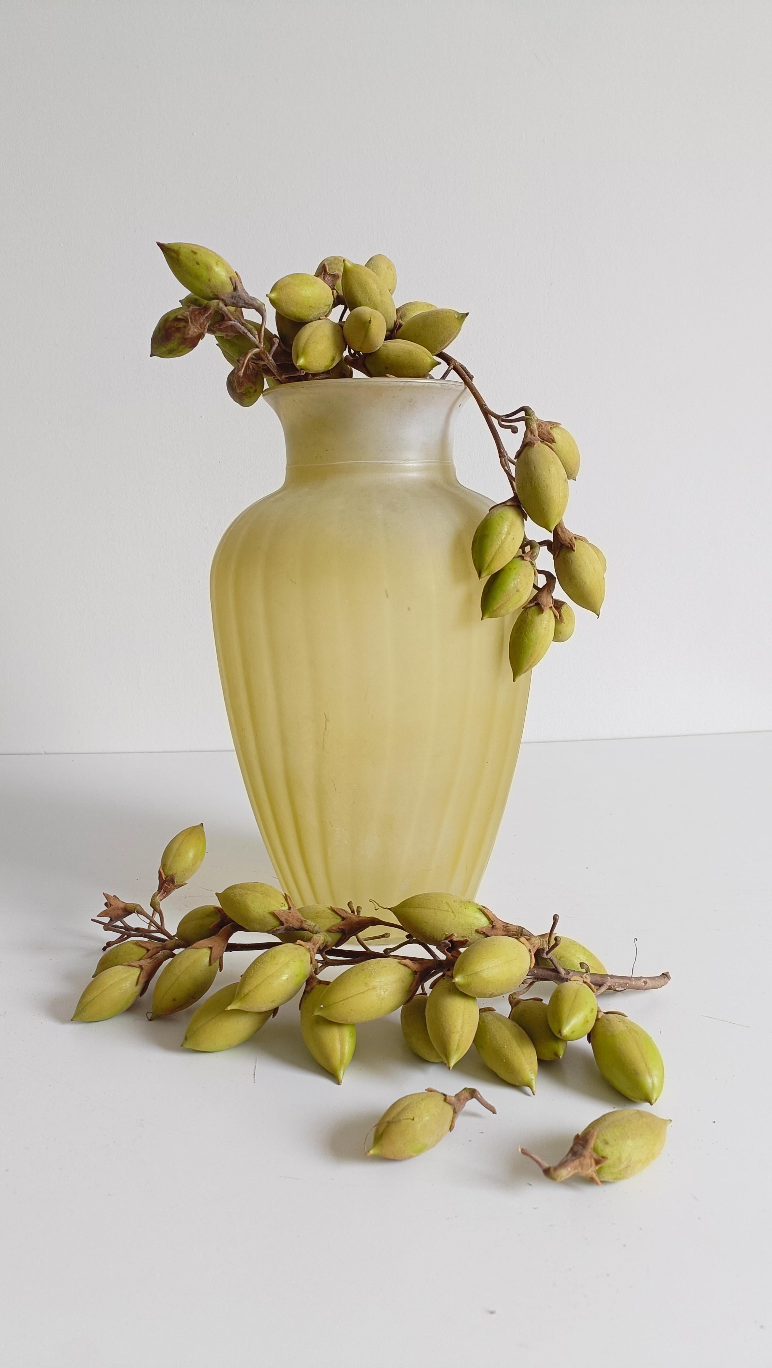 Mid-Century moderno Vaso neoclassico italiano di metà secolo in vetro pressato smerigliato giallo, anni '50 in vendita