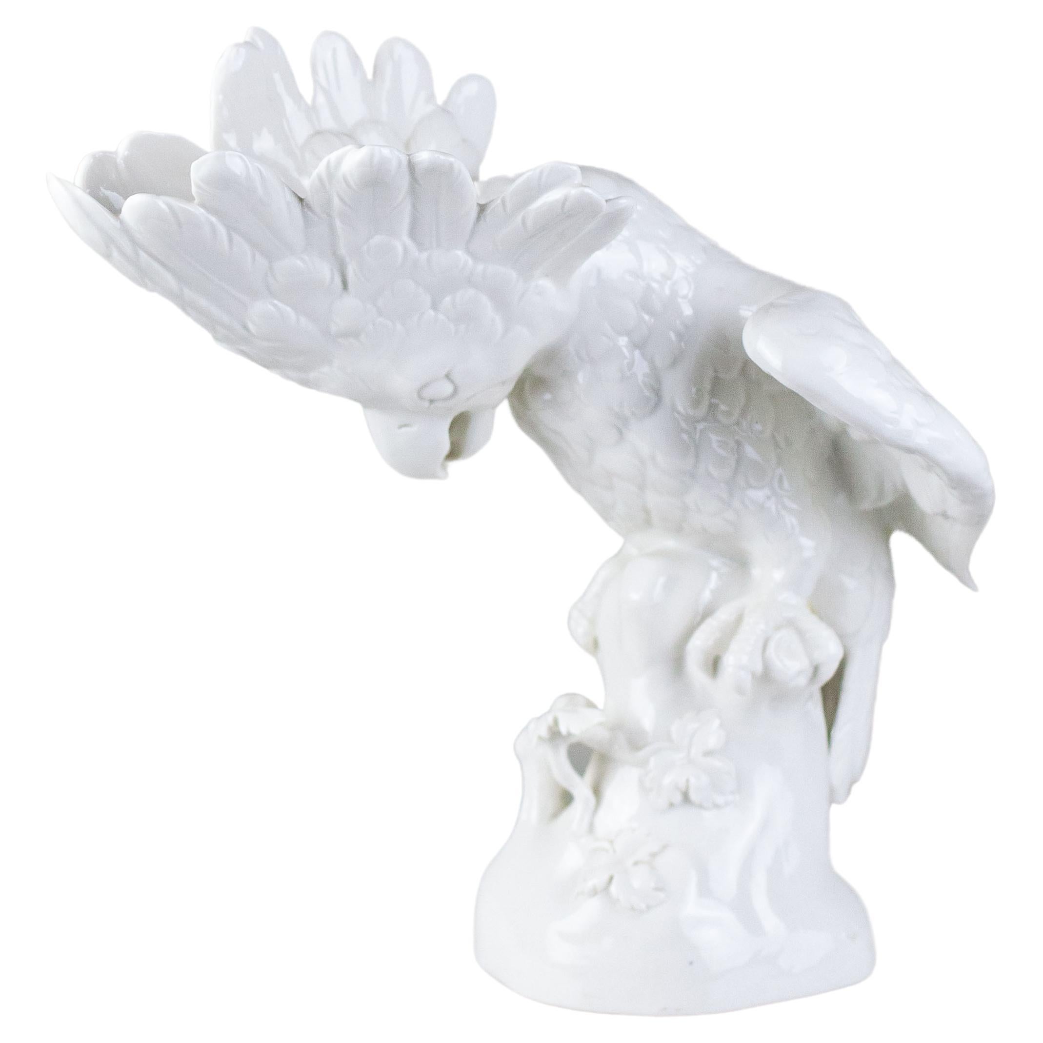 Two Mid-Century Nautllus Shell Parrot Sculptures at 1stDibs