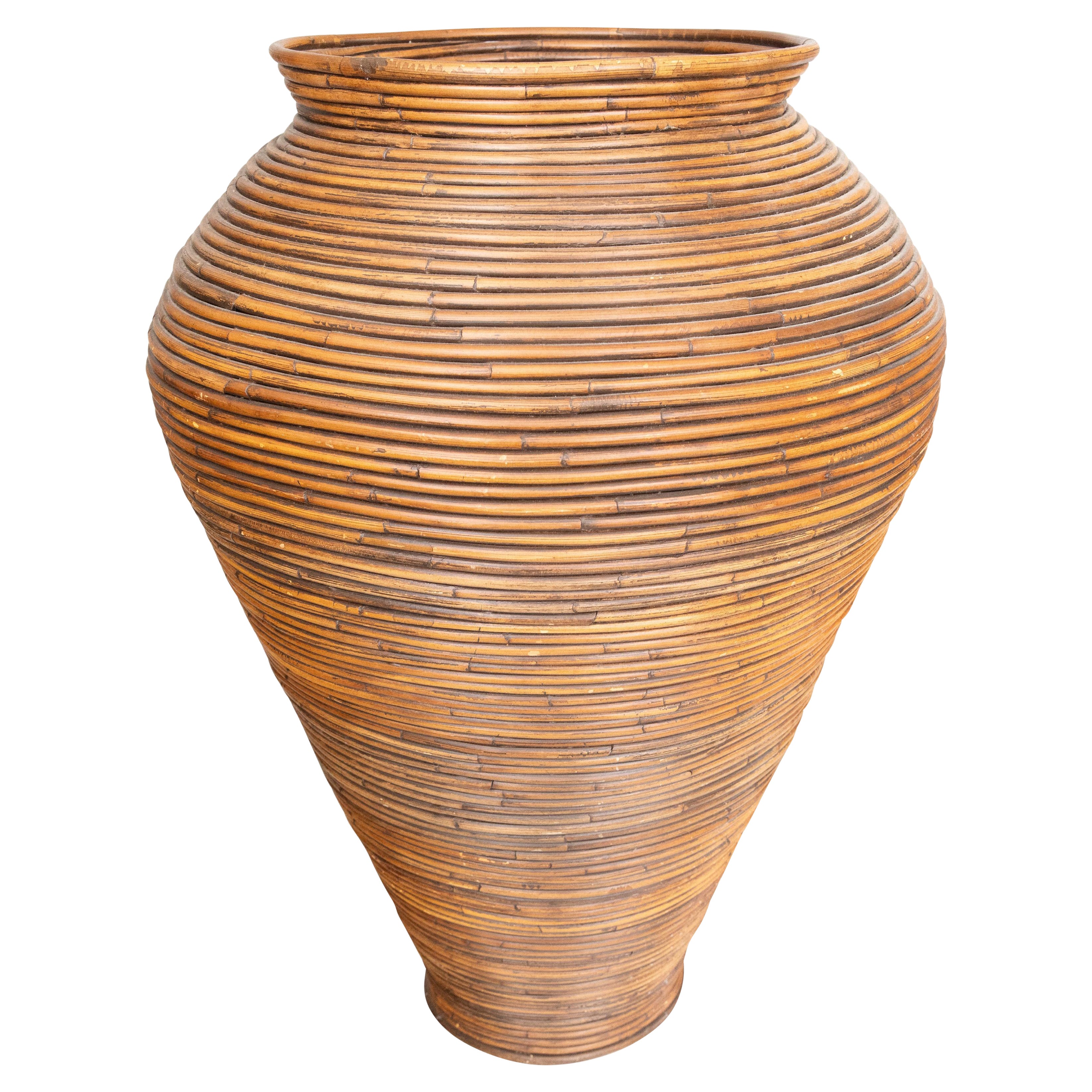Mid-Century Italienisch Bleistift Reed Bambus Boden Vase Umbrella Stand