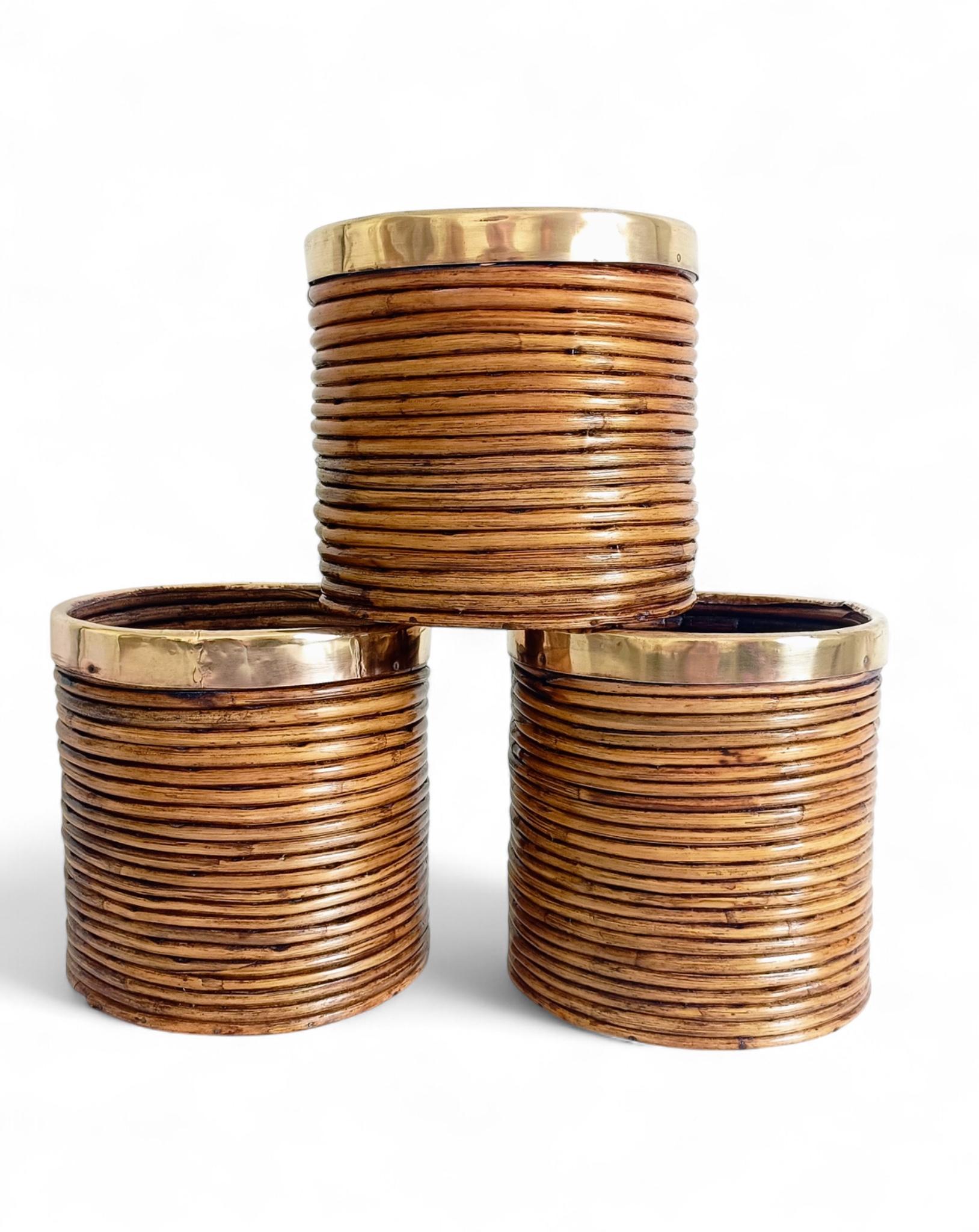 Milieu du XXe siècle Mid-Century Italian Rattan and Brass Planters, 1960s en vente