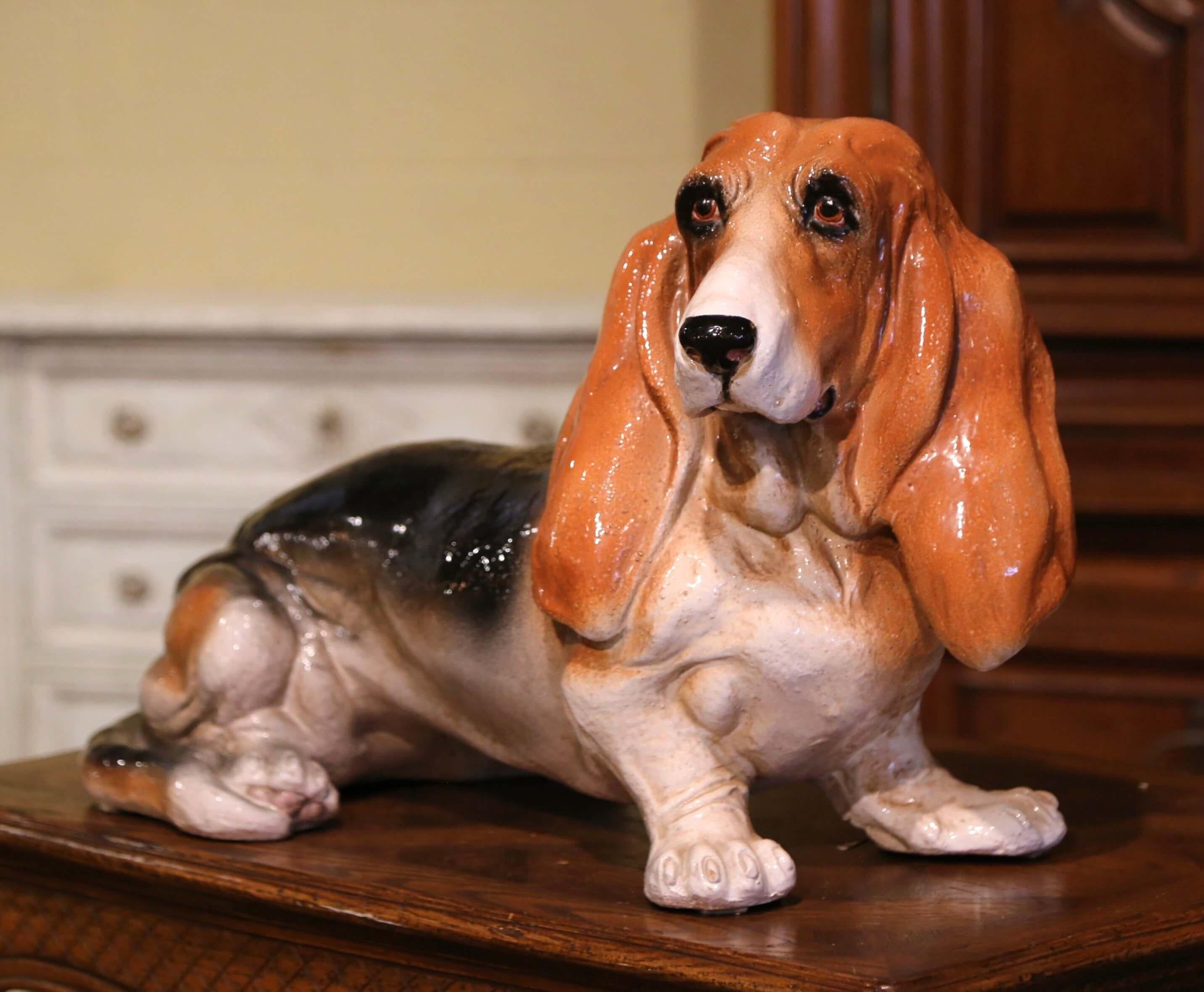 Dog lovers will appreciate this realistic vintage hound dog. Crafted in Italy, circa 1950, this charming terracotta statue is life-size, and depicts a sitting basset hound gazing forward. Boasting lovely russet, black and white colors that