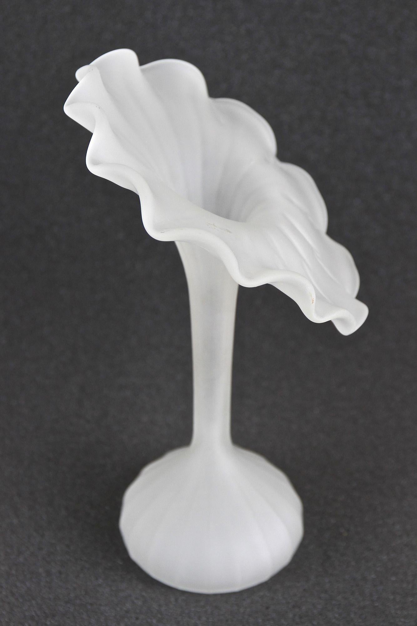 Mid Century Jack-In-The-Pulpit Glass Vase, France circa 1960 For Sale 4