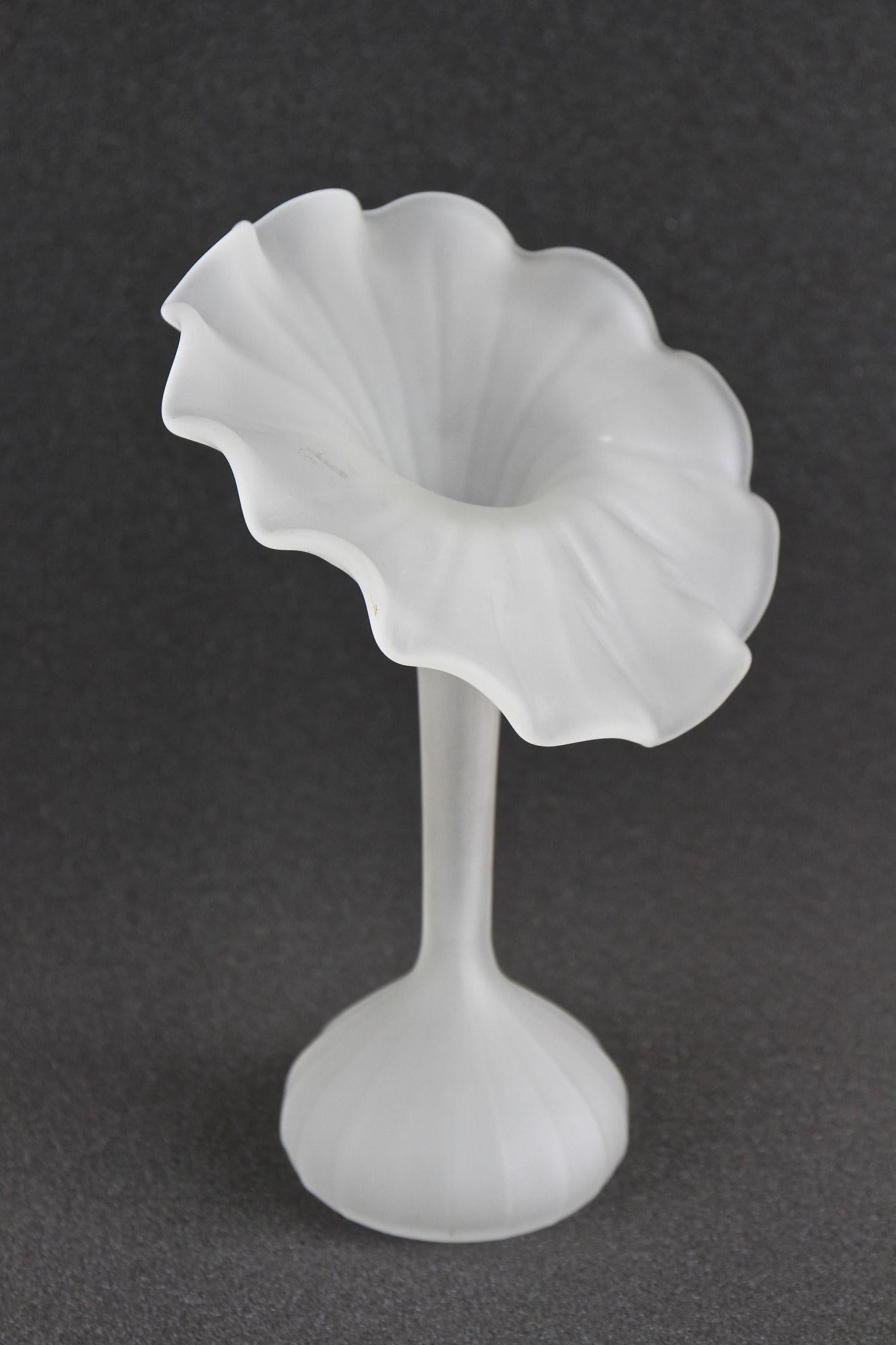 Mid Century Jack-In-The-Pulpit Glass Vase, France circa 1960 For Sale 6