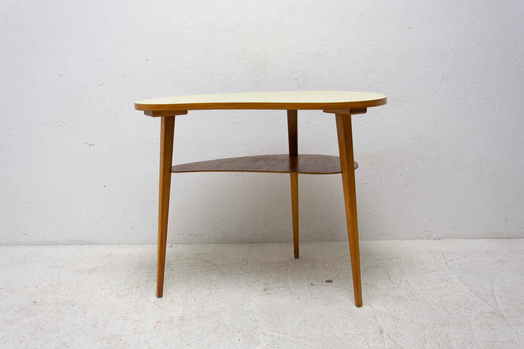 Mid-Century Kidney Table, 1960´S, Brussels Period For Sale 2