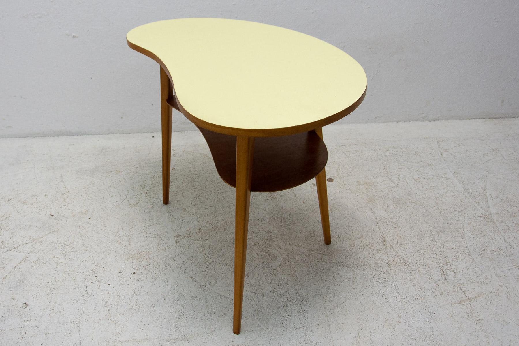 nierentisch 60er