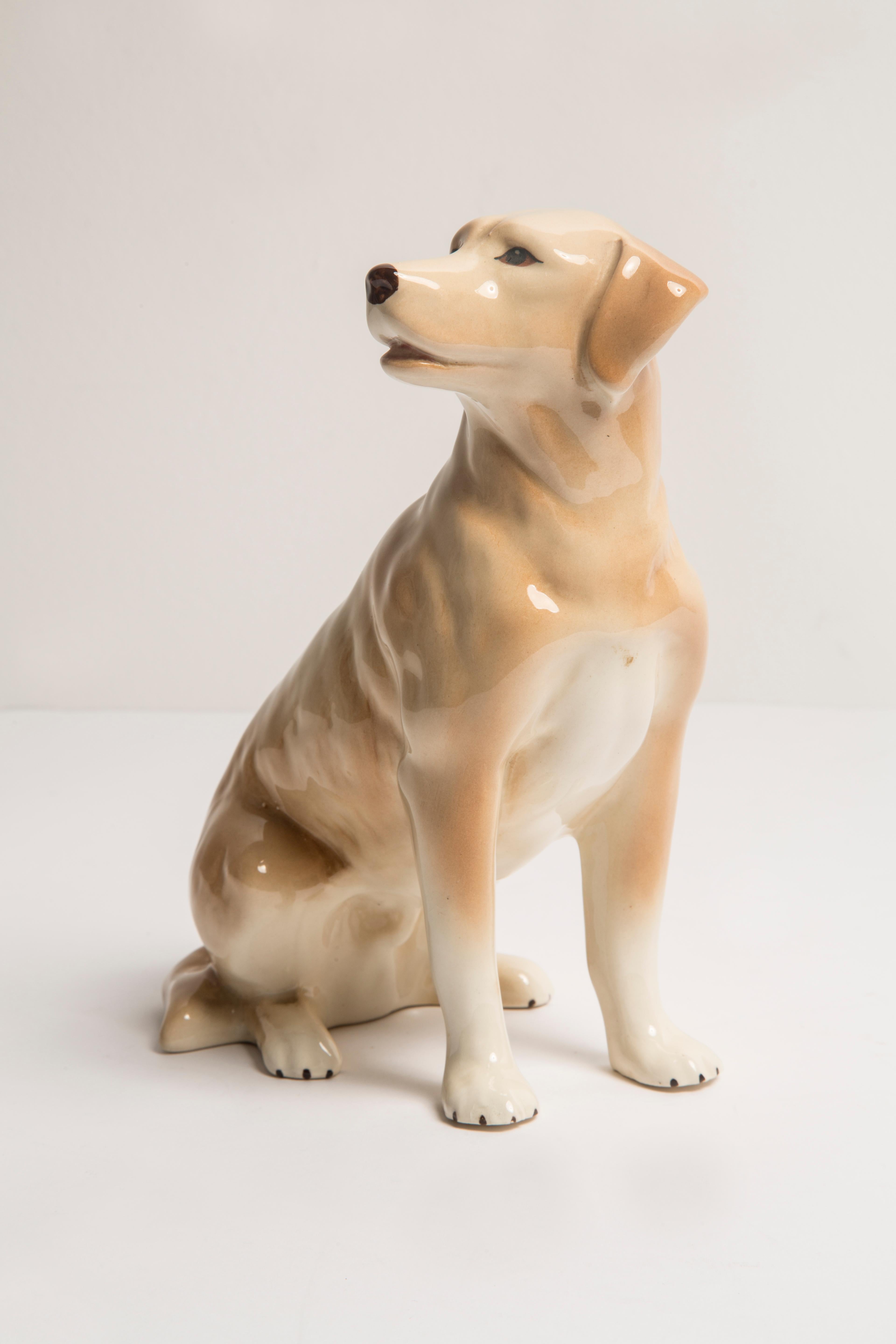 20th Century Midcentury Labrador Retriever Ceramic Dog Sculpture, Europe, 1960s