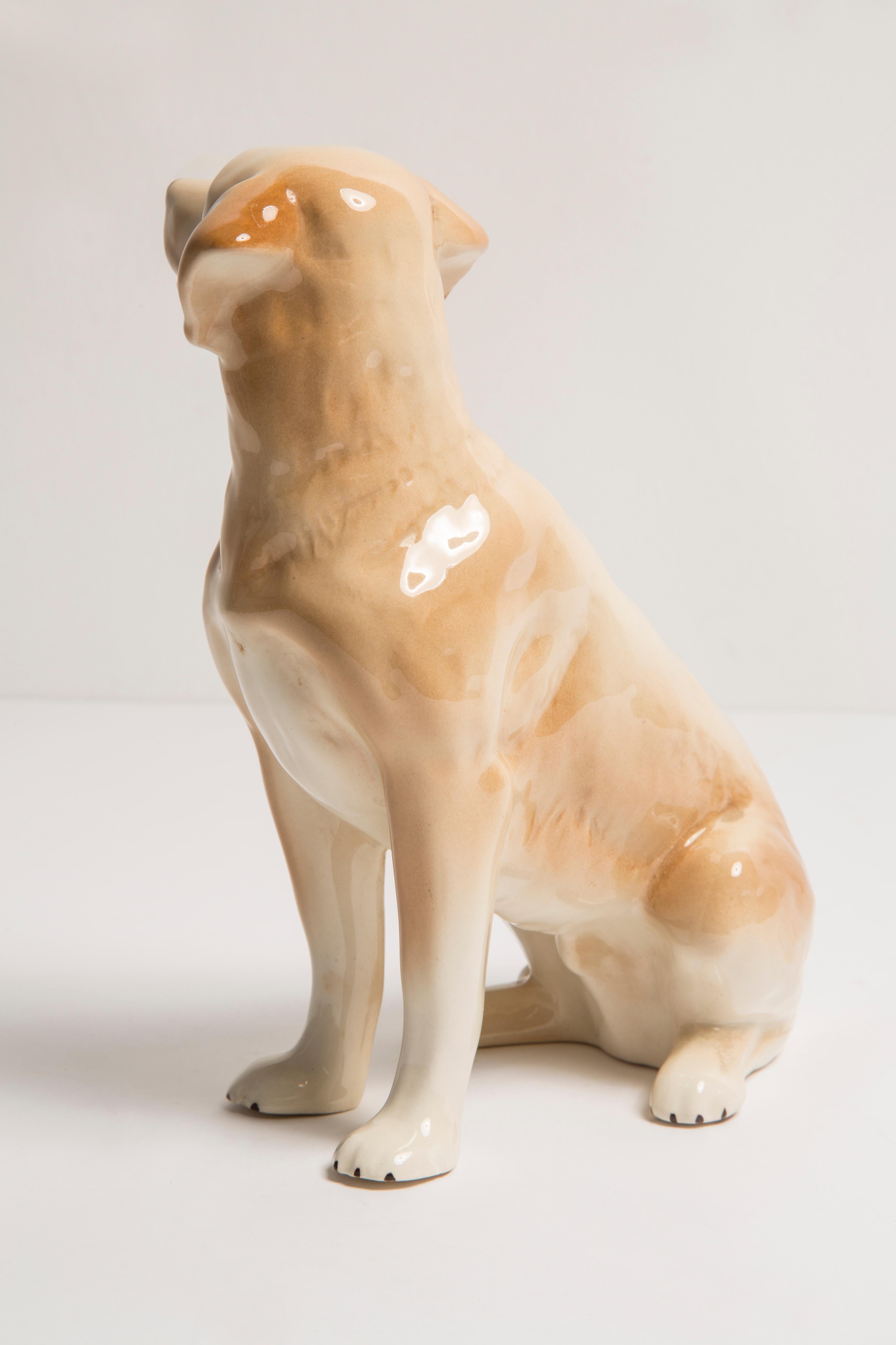 Midcentury Labrador Retriever Ceramic Dog Sculpture, Europe, 1960s 1