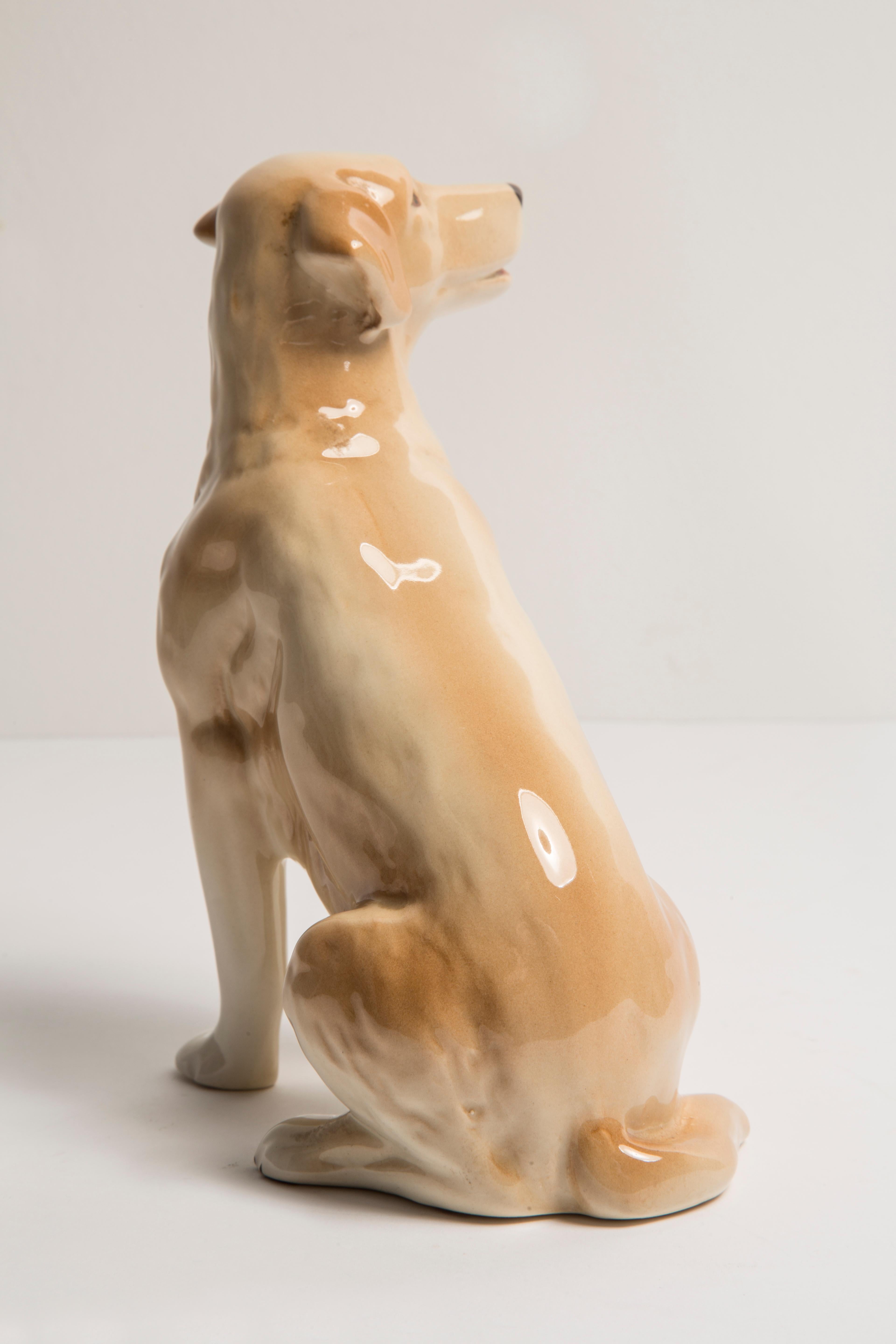 Midcentury Labrador Retriever Ceramic Dog Sculpture, Europe, 1960s 2