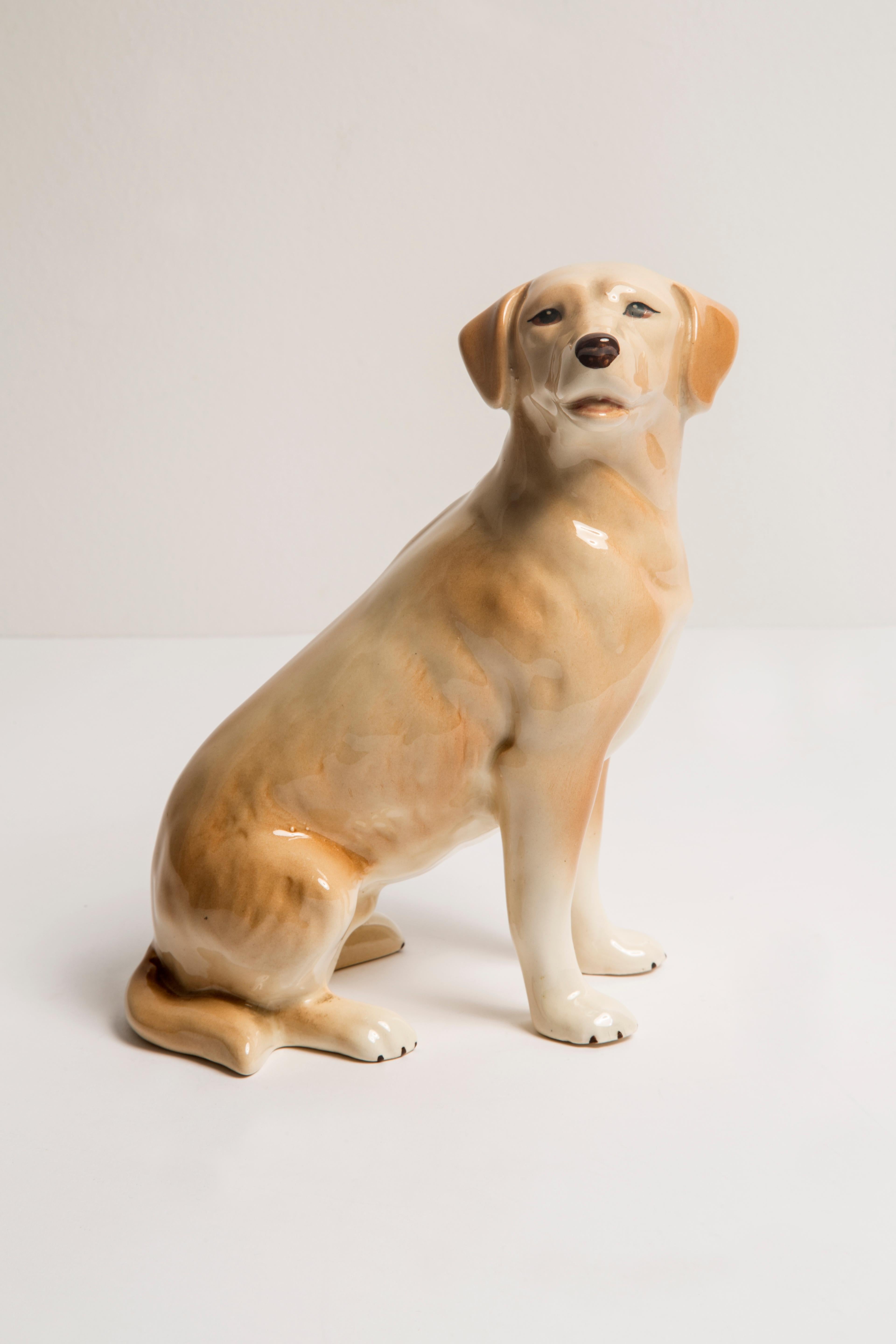 Midcentury Labrador Retriever Ceramic Dog Sculpture, Europe, 1960s In Excellent Condition In 05-080 Hornowek, PL