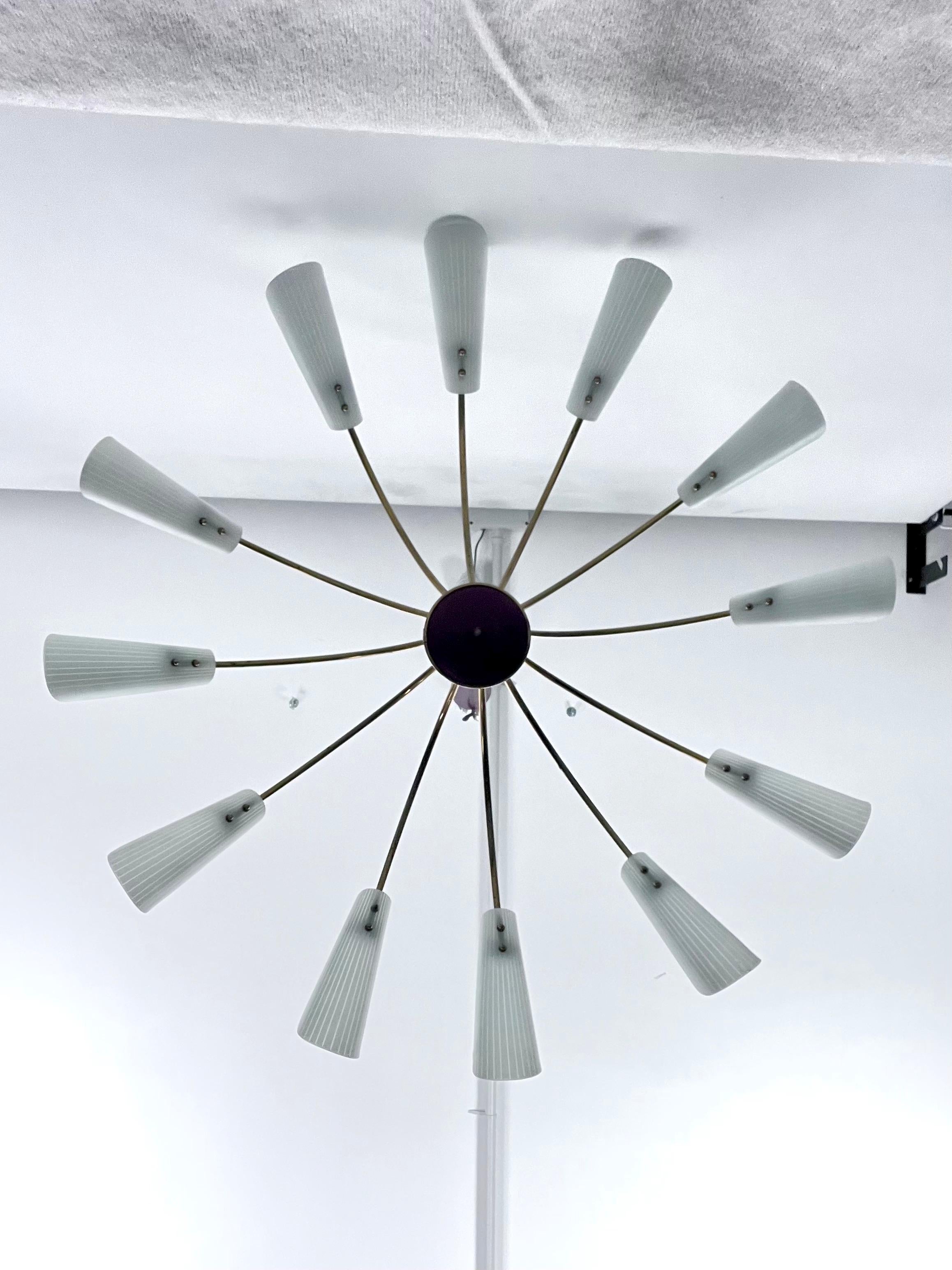 Mid-Century Modern Mid-Century Large 12 arms spider chandelier in Stilnovo manner. Italy 1950s For Sale