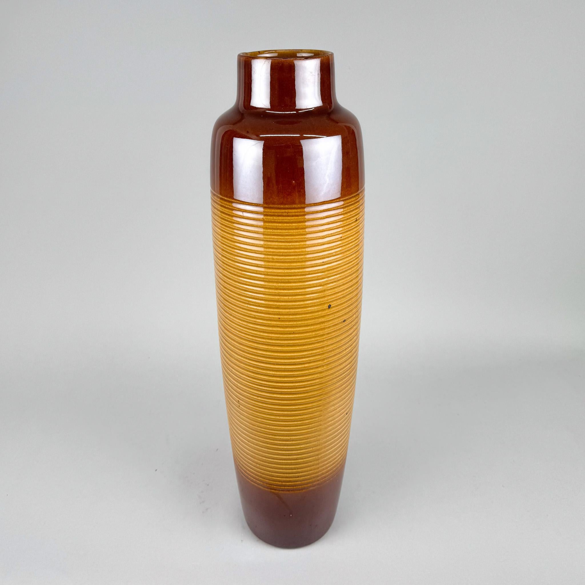 Ceramica Vaso da terra in ceramica di grandi dimensioni della metà del secolo, Cecoslovacchia in vendita