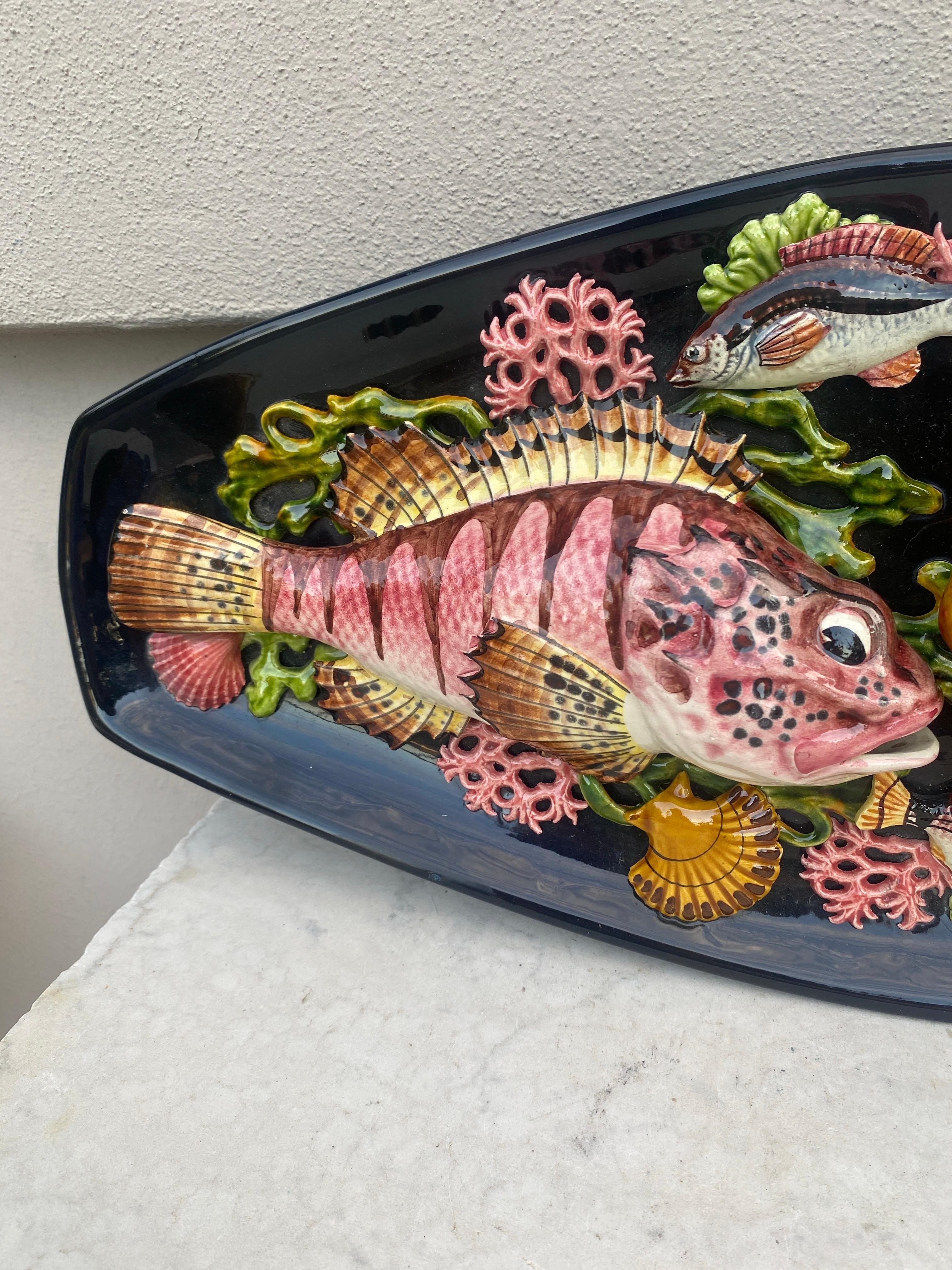 Large oval Majolica Palissy wall platter Vallauris, circa 1950.
Large fishes, lobster, seaweeds, shells.
From Provence.
Measures: Length / 22.5 inches on 9 inches, height / 2.5 inches.
 