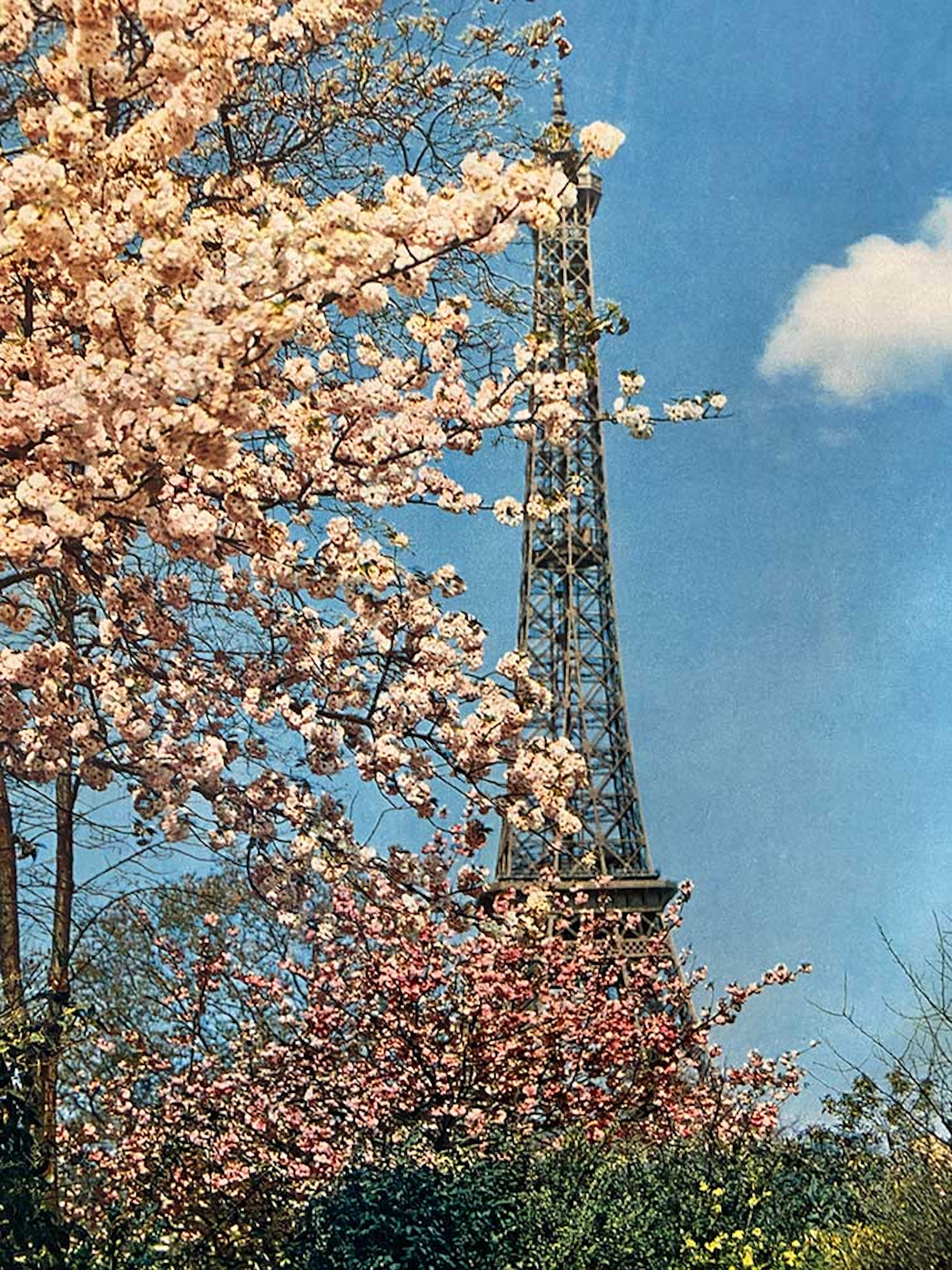 Francese Poster francese d'epoca di metà secolo Le printemps a Paris, 1960 ca. in vendita