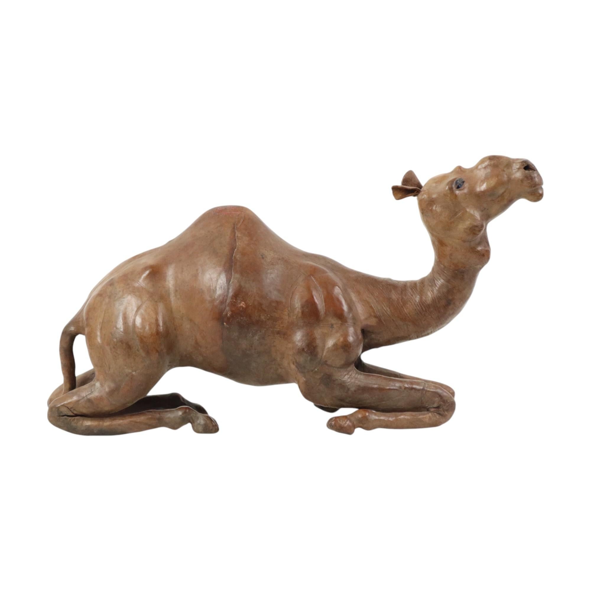 Beautiful and rare mid century dromedary or one-humped camel, large statue made of papier maché, filled with straw and covered with brown leather, black glass eyes, completely in the style of Liberty of London, circa 1950.

This statue has very nice