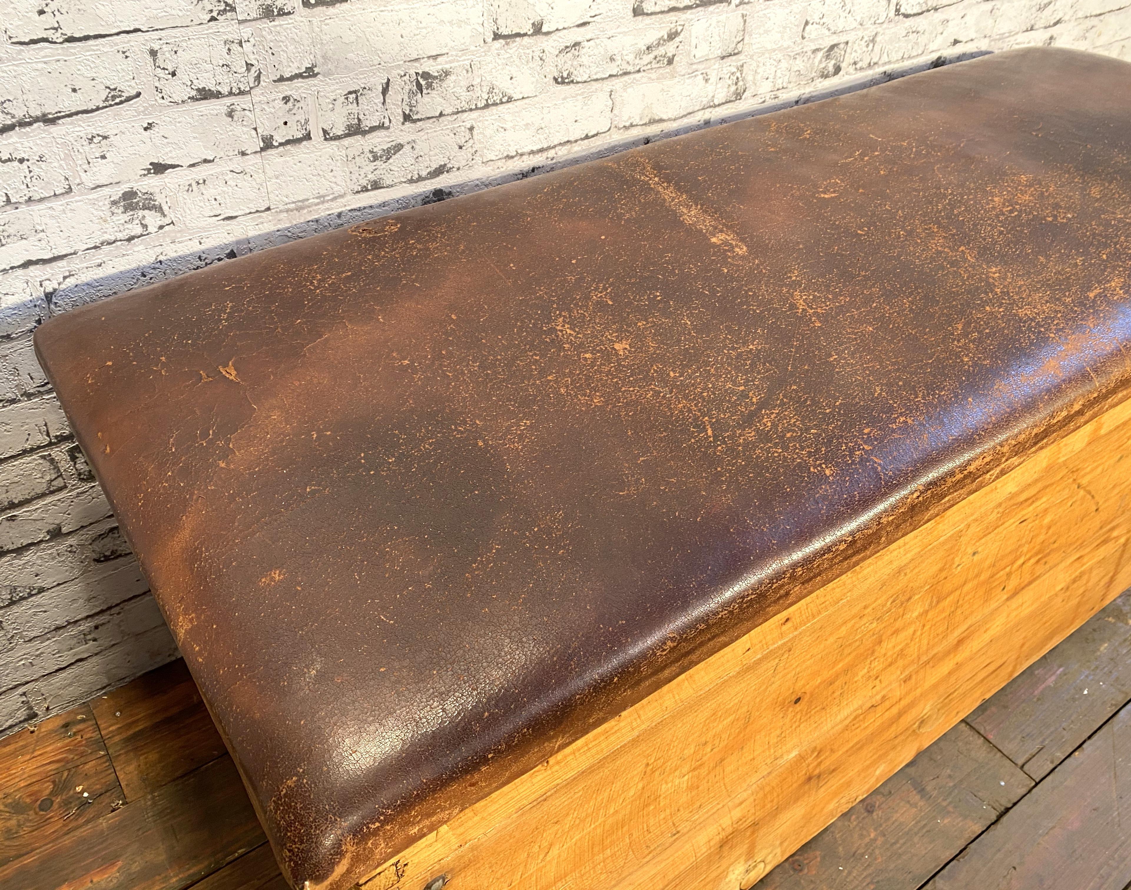 Czech Midcentury Leather Gym Bench, 1950s