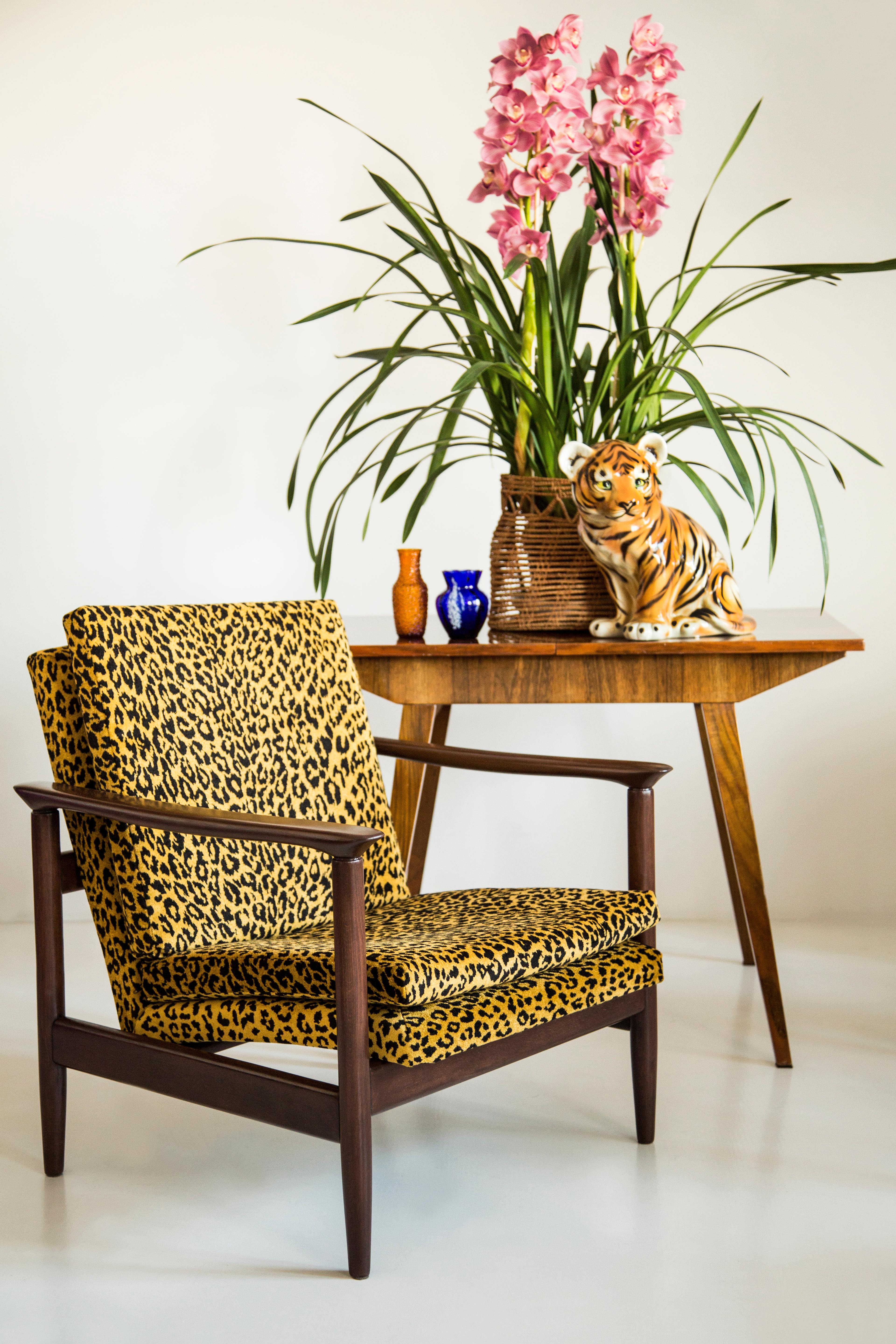 Beautiful leopard armchair GFM-142, designed by Edmund Homa, a polish architect, designer of Industrial Design and interior architecture, professor at the Academy of Fine Arts in Gdansk. 

The armchair was made in the 1960s in the Gosciecinska