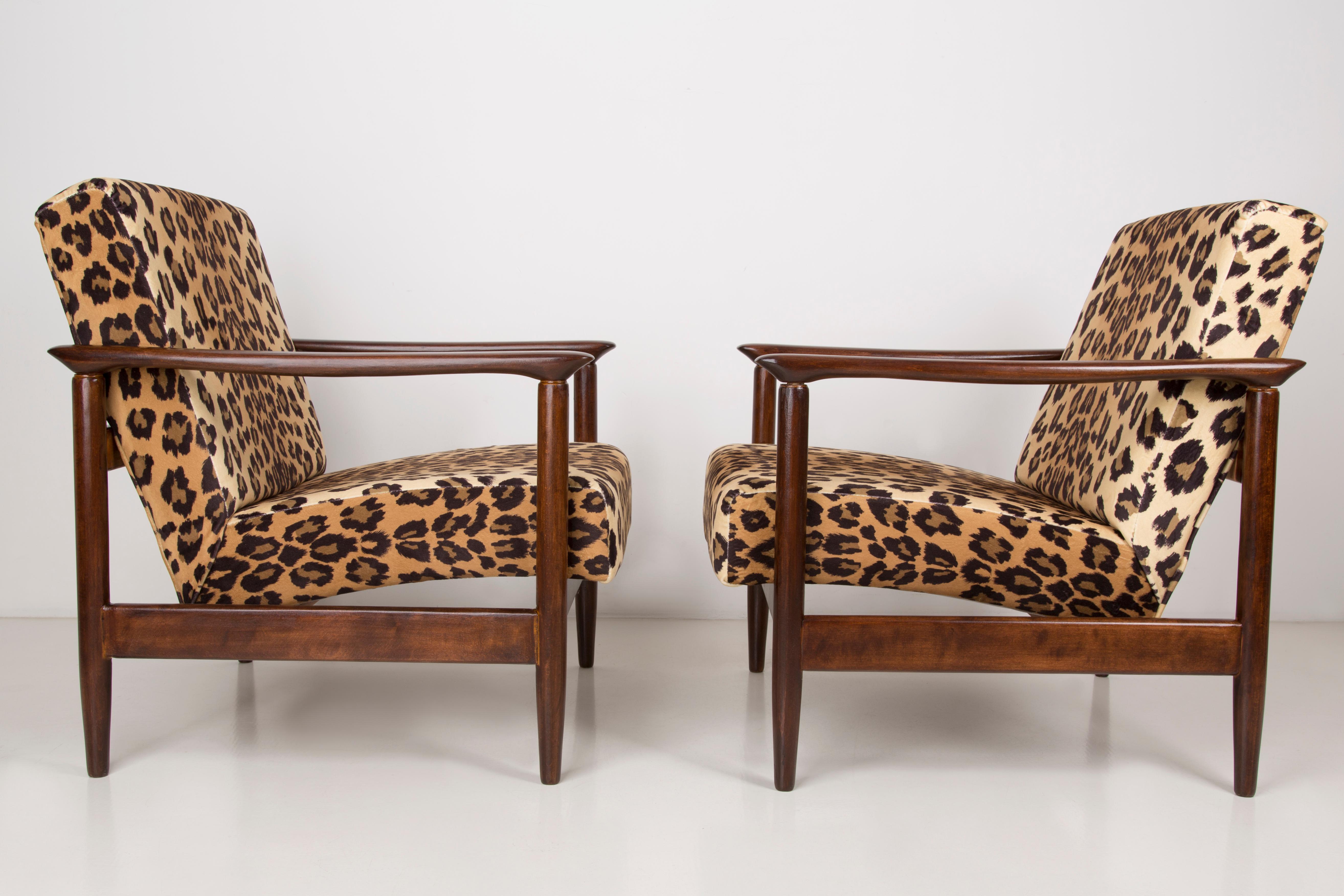 Two 20th Century Leopard Velvet Armchairs, Edmund Homa, GFM-142, 1960s, Poland In Excellent Condition For Sale In 05-080 Hornowek, PL