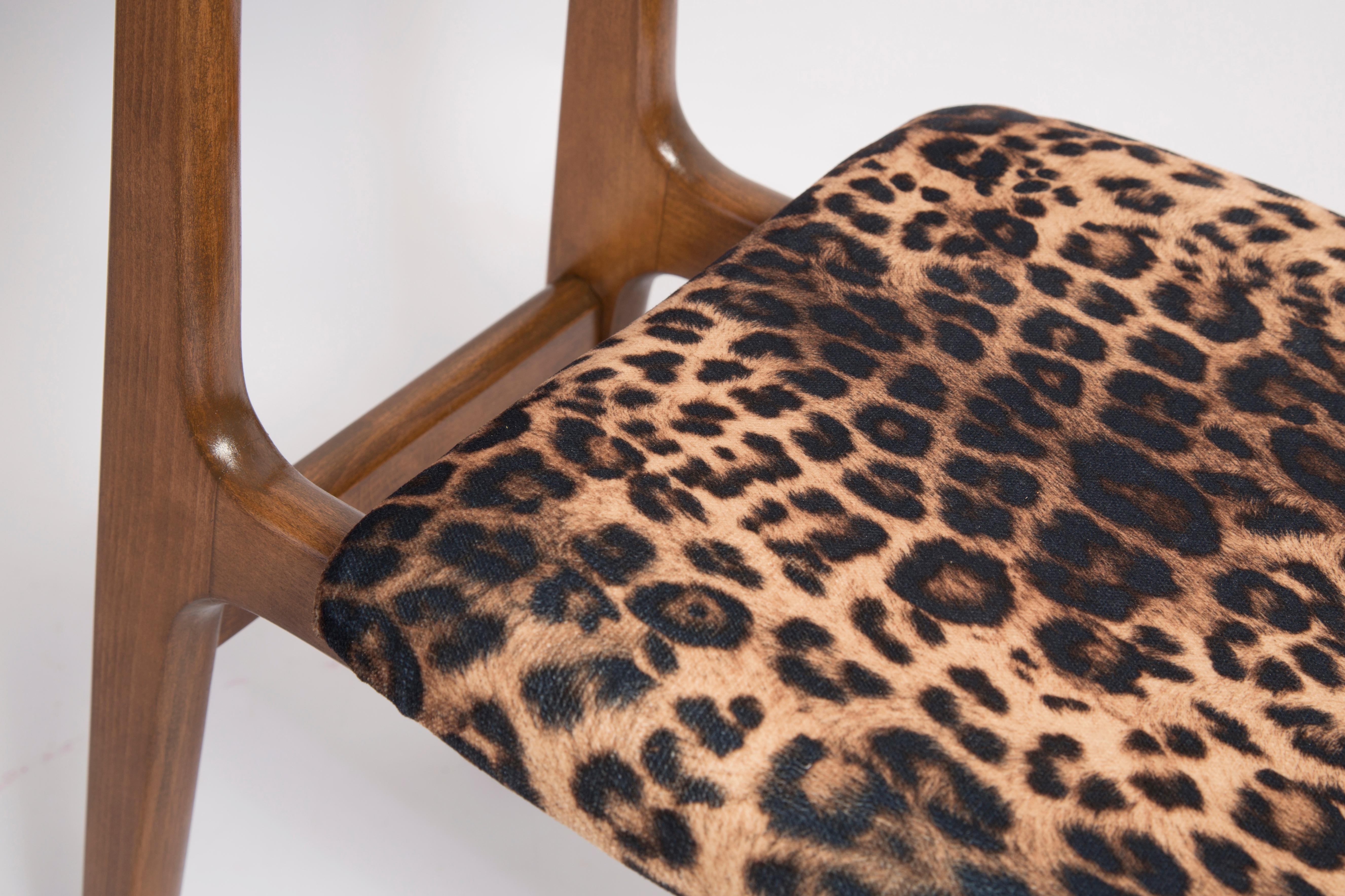 Mid Century Leopard Velvet Chair, Walnut Wood, Rajmund Halas, Poland, 1960s For Sale 2