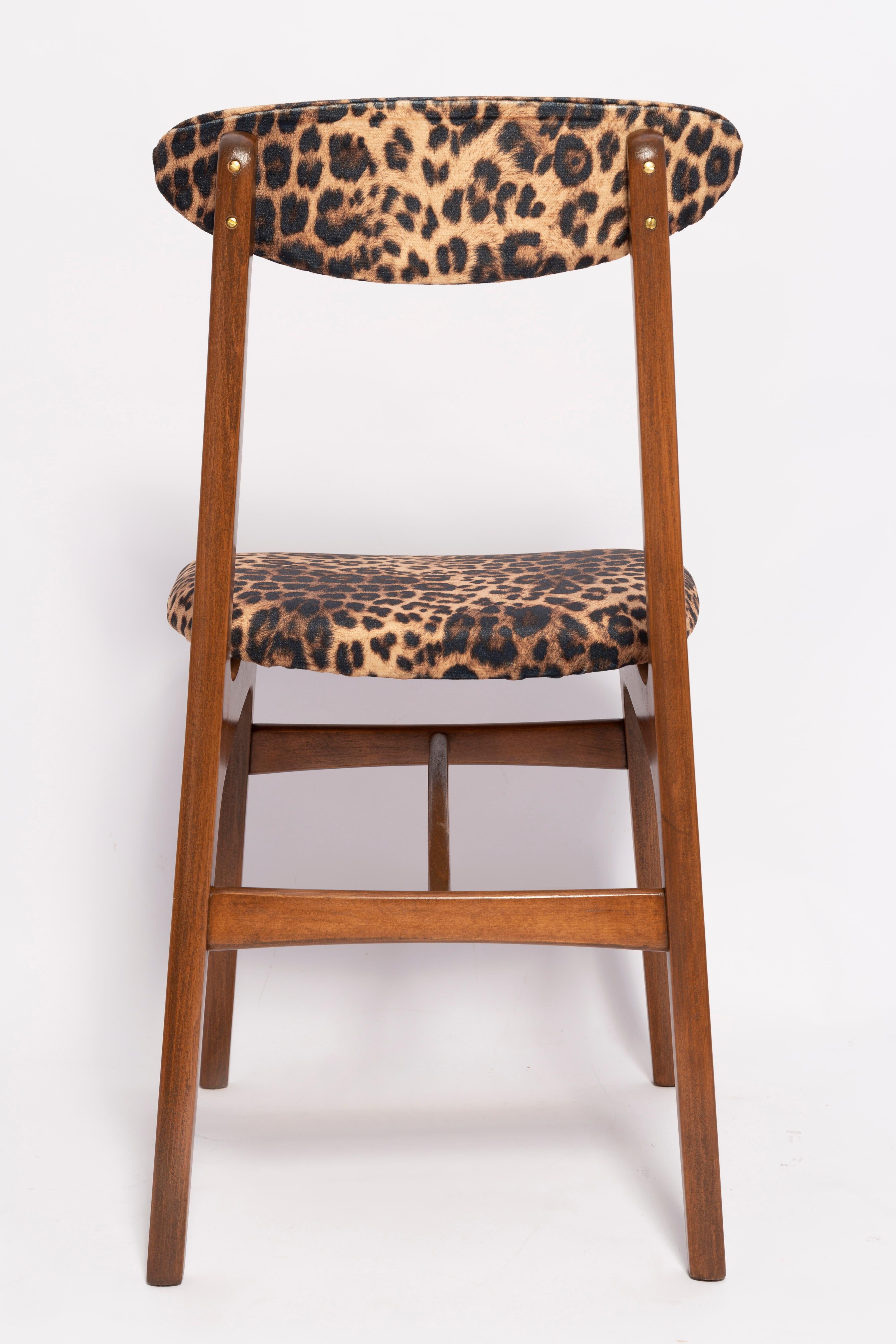 Mid Century Leopard Velvet Chair, Walnut Wood, Rajmund Halas, Poland, 1960s For Sale 5