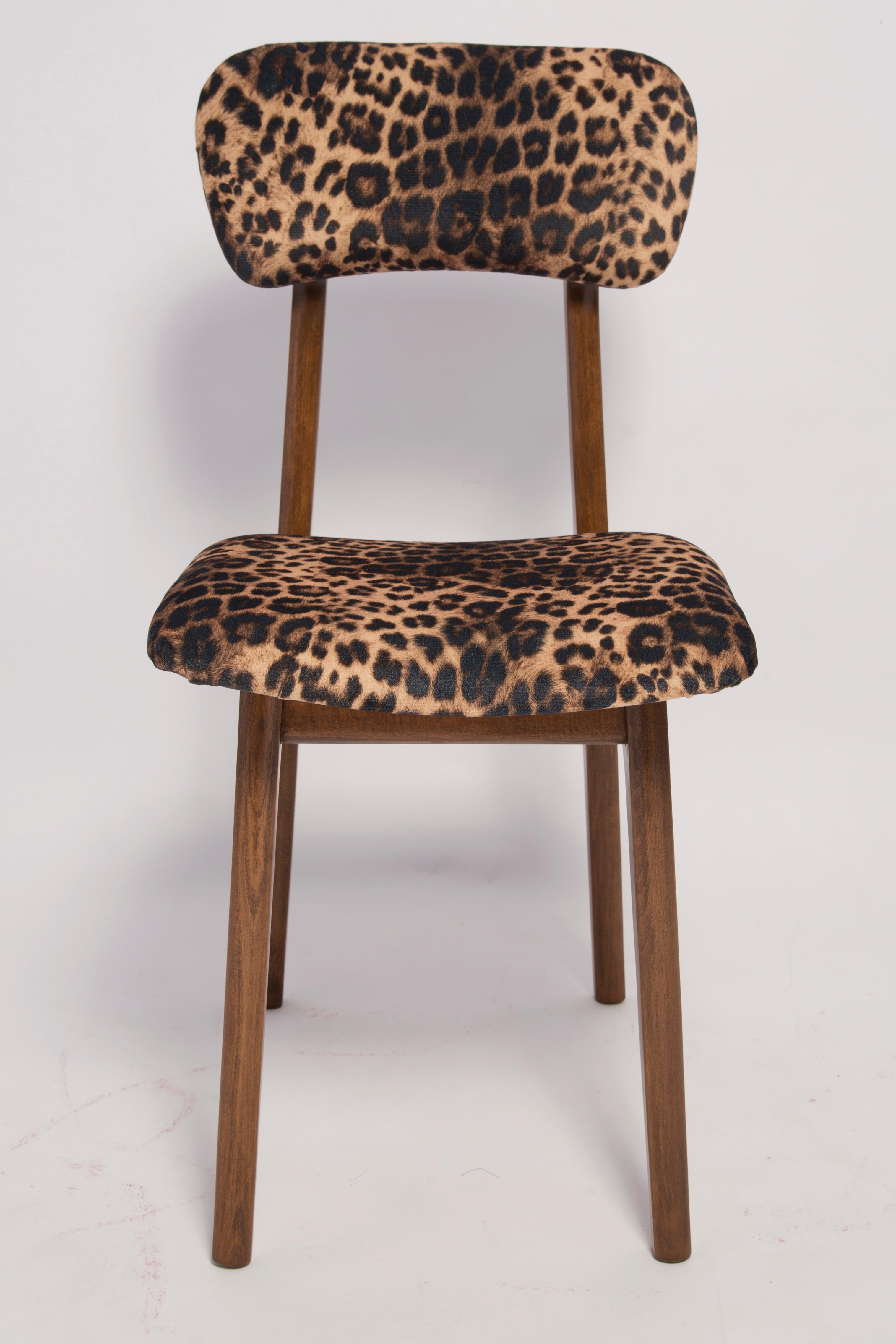 Chair designed by Prof. Rajmund Halas. Made of beechwood. Chair is after a complete upholstery renovation, the woodwork has been refreshed. Seat is dressed in leopard, durable and pleasant to the touch unique velvet fabric. Chair is stable and very