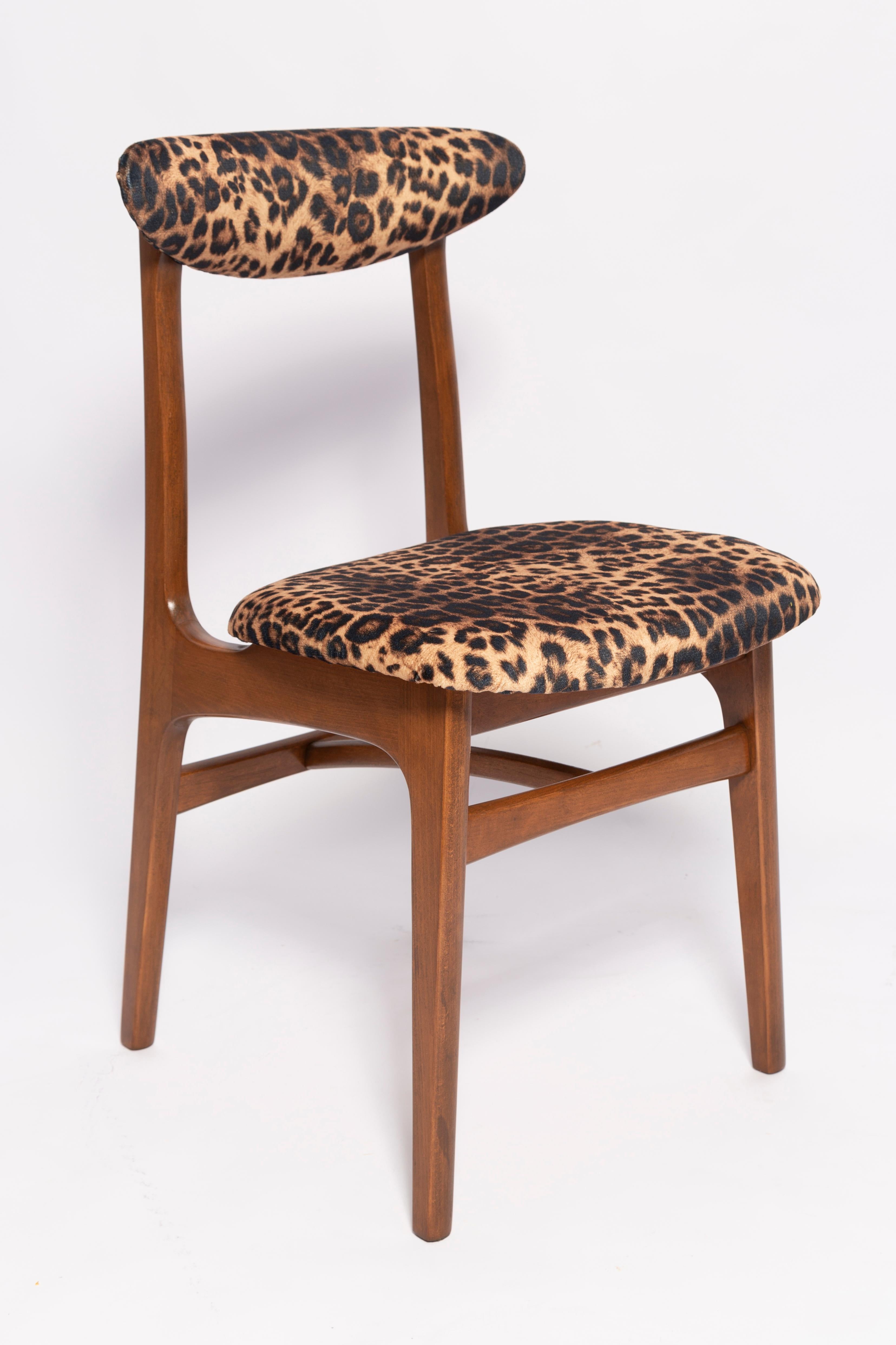 Chair designed by Prof. Rajmund Halas. Made of beechwood. Chair is after a complete upholstery renovation, the woodwork has been refreshed. Seat is dressed in leopard, durable and pleasant to the touch unique velvet fabric. Chair is stable and very