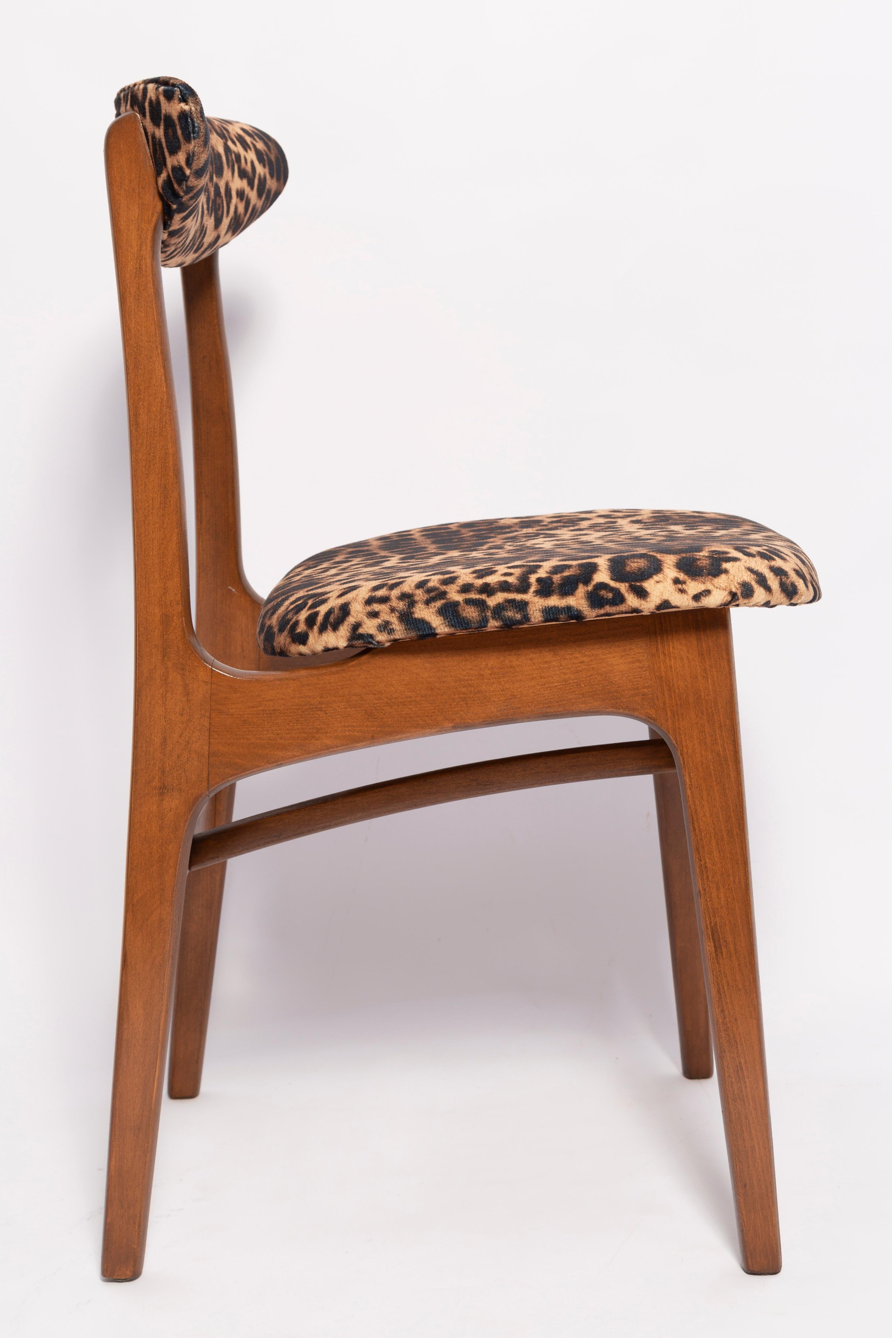 Mid-Century Modern Mid Century Leopard Velvet Chair, Walnut Wood, Rajmund Halas, Poland, 1960s For Sale