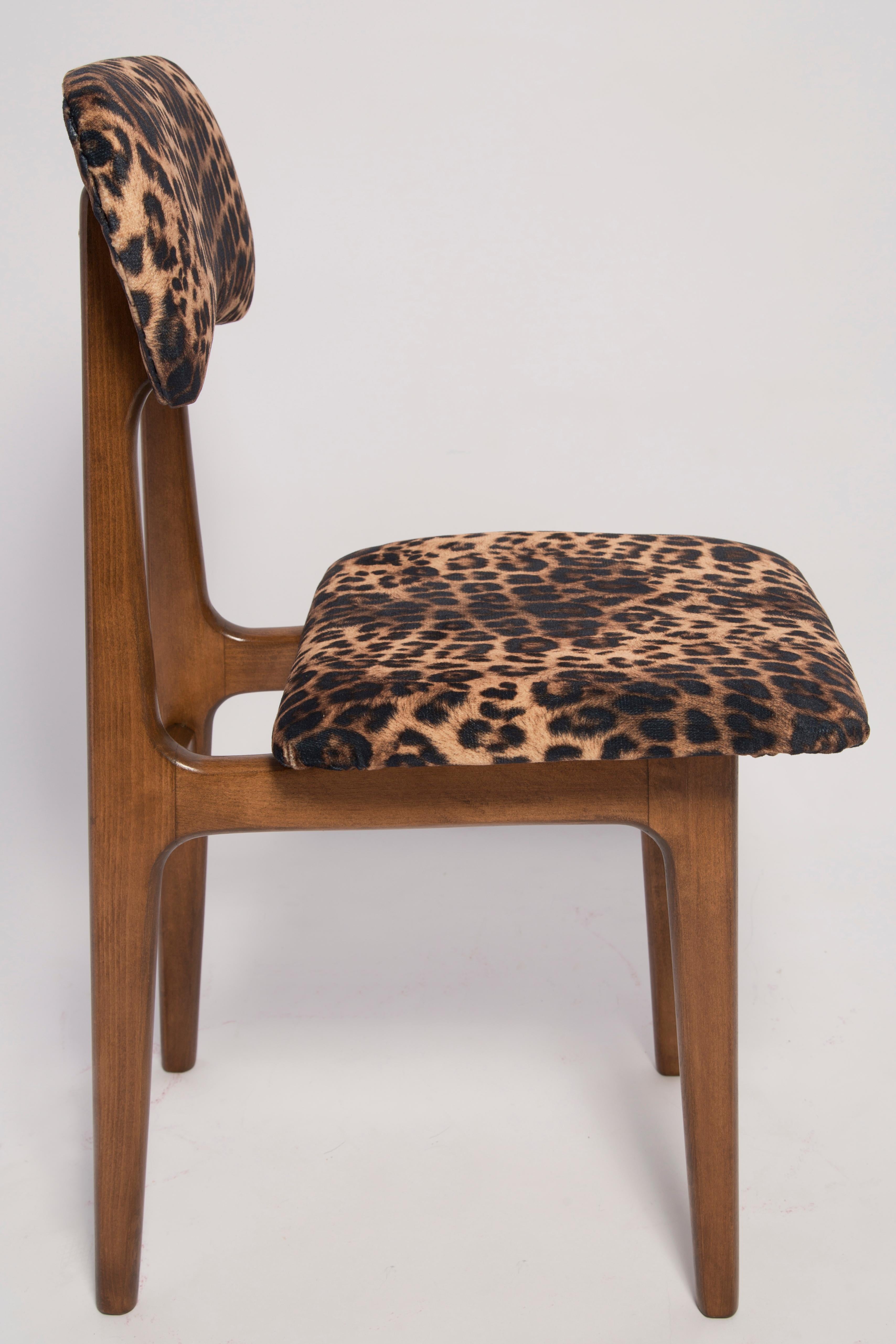animal print dining chairs