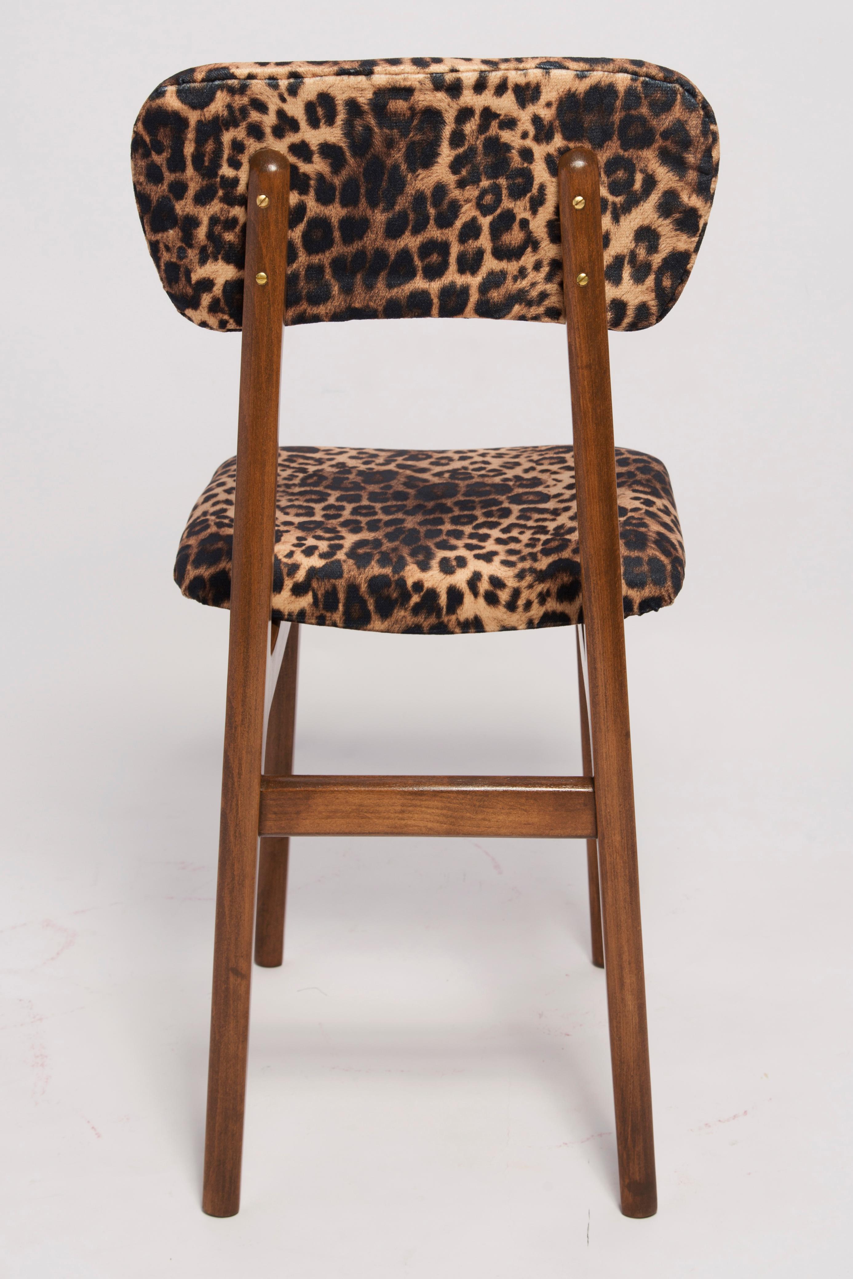 Mid-Century Modern Mid Century Leopard Velvet Chair, Walnut Wood, Rajmund Halas, Poland, 1960s For Sale
