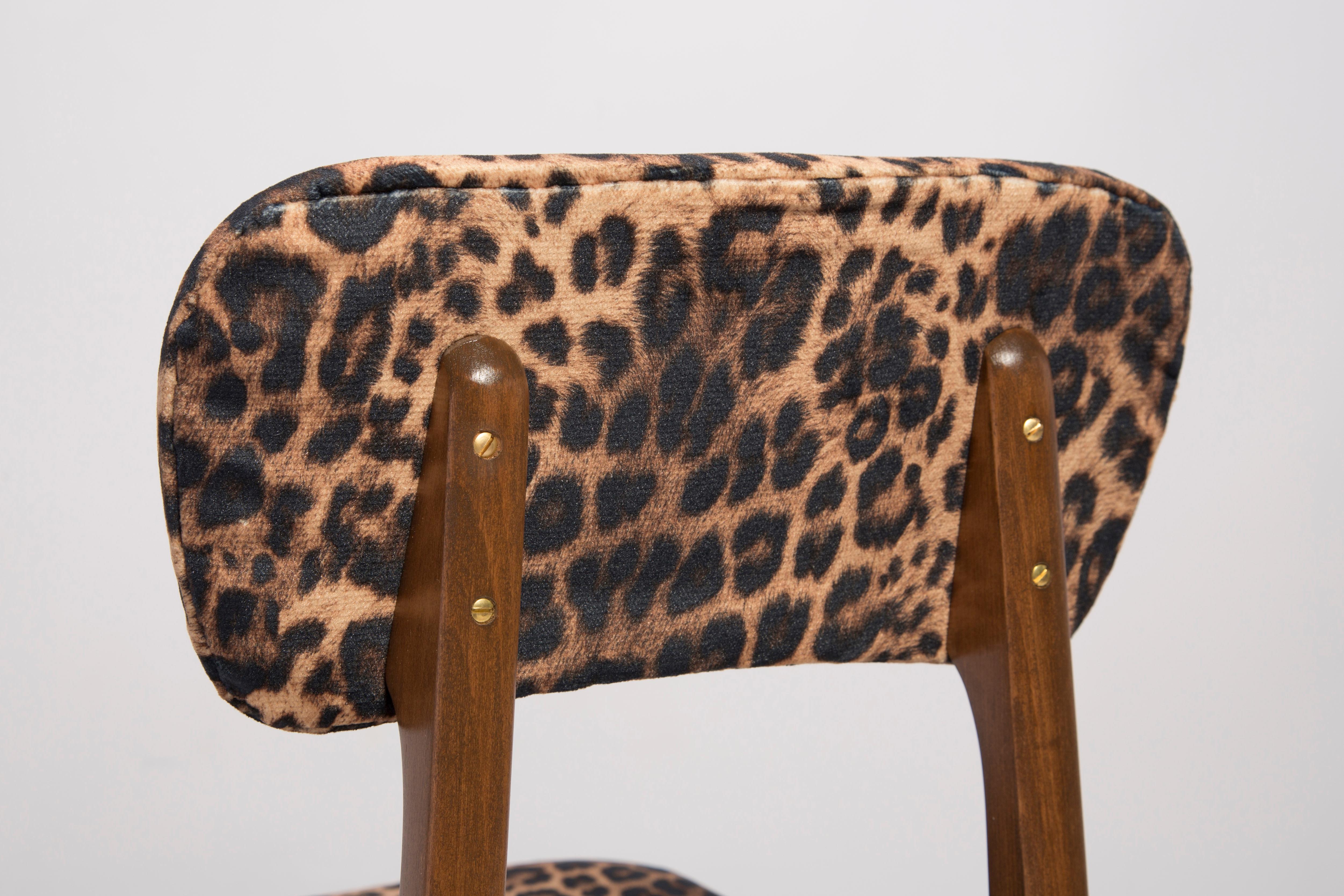 Polish Mid Century Leopard Velvet Chair, Walnut Wood, Rajmund Halas, Poland, 1960s For Sale