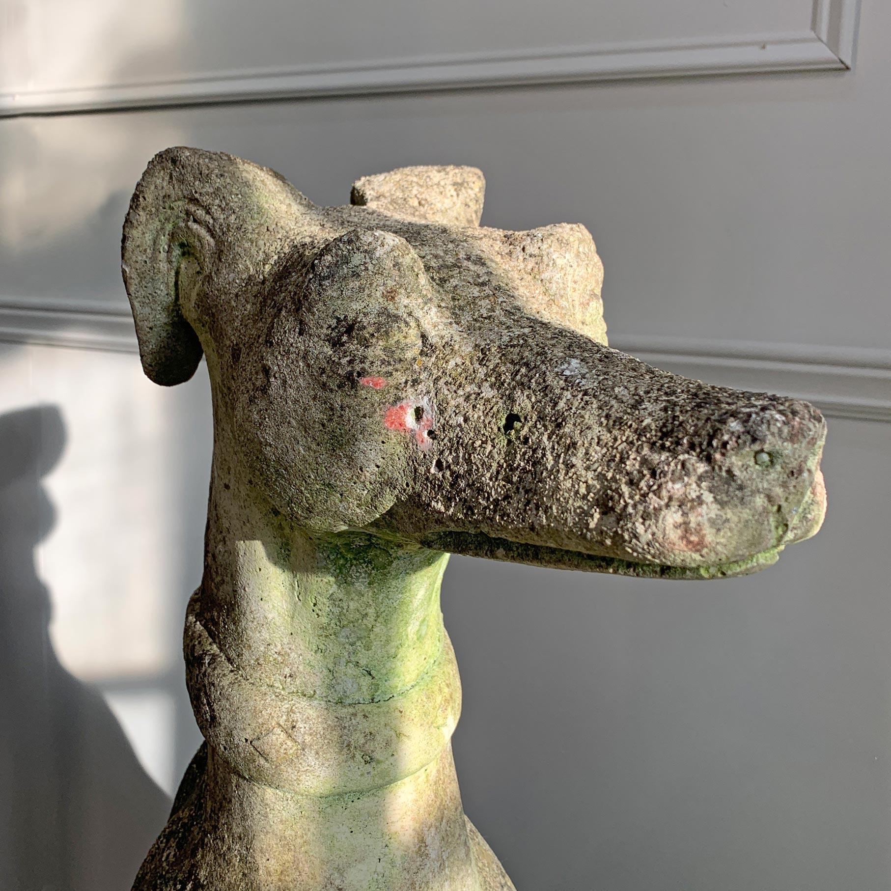 A superb life size Greyhound garden statue, in composite stone, Italian and dating to the 1960's. 

Lichen covered patina and areas of moss around the base, a wonderfully cast and heavy statue.

Height 95cm
Width 32cm 
Depth 51cm