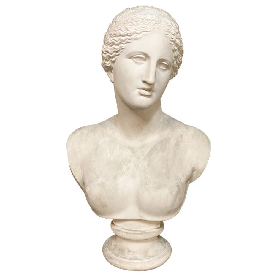 Midcentury LifeSize Plaster Bust For Sale at 1stDibs
