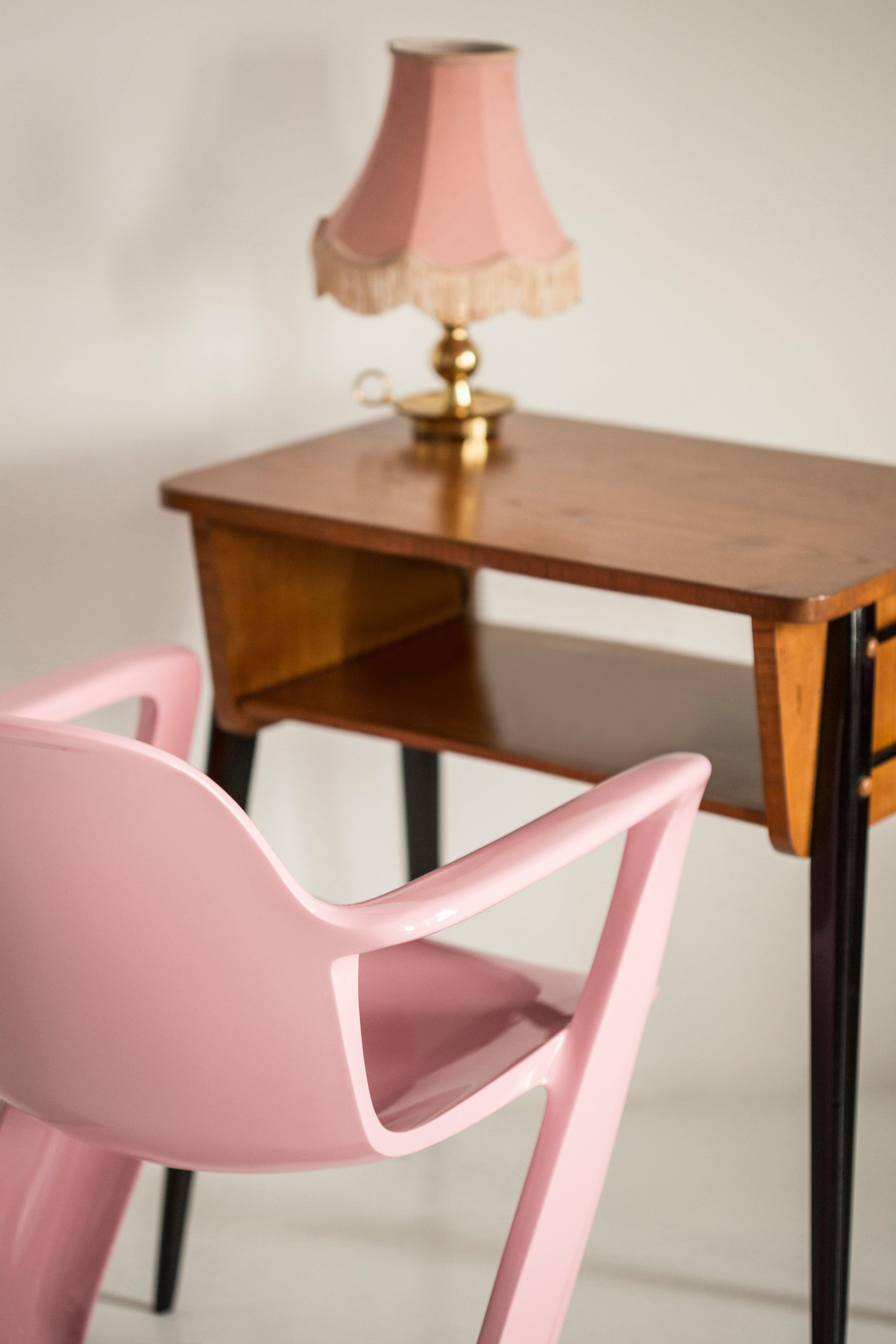 Mid-Century Modern Mid-Century Light Pink Kangaroo Chair Designed by Ernst Moeckl, Germany, 1968 For Sale