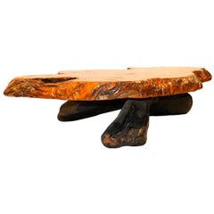 Midcentury Live Edge Wood Tree Slab Coffee Table