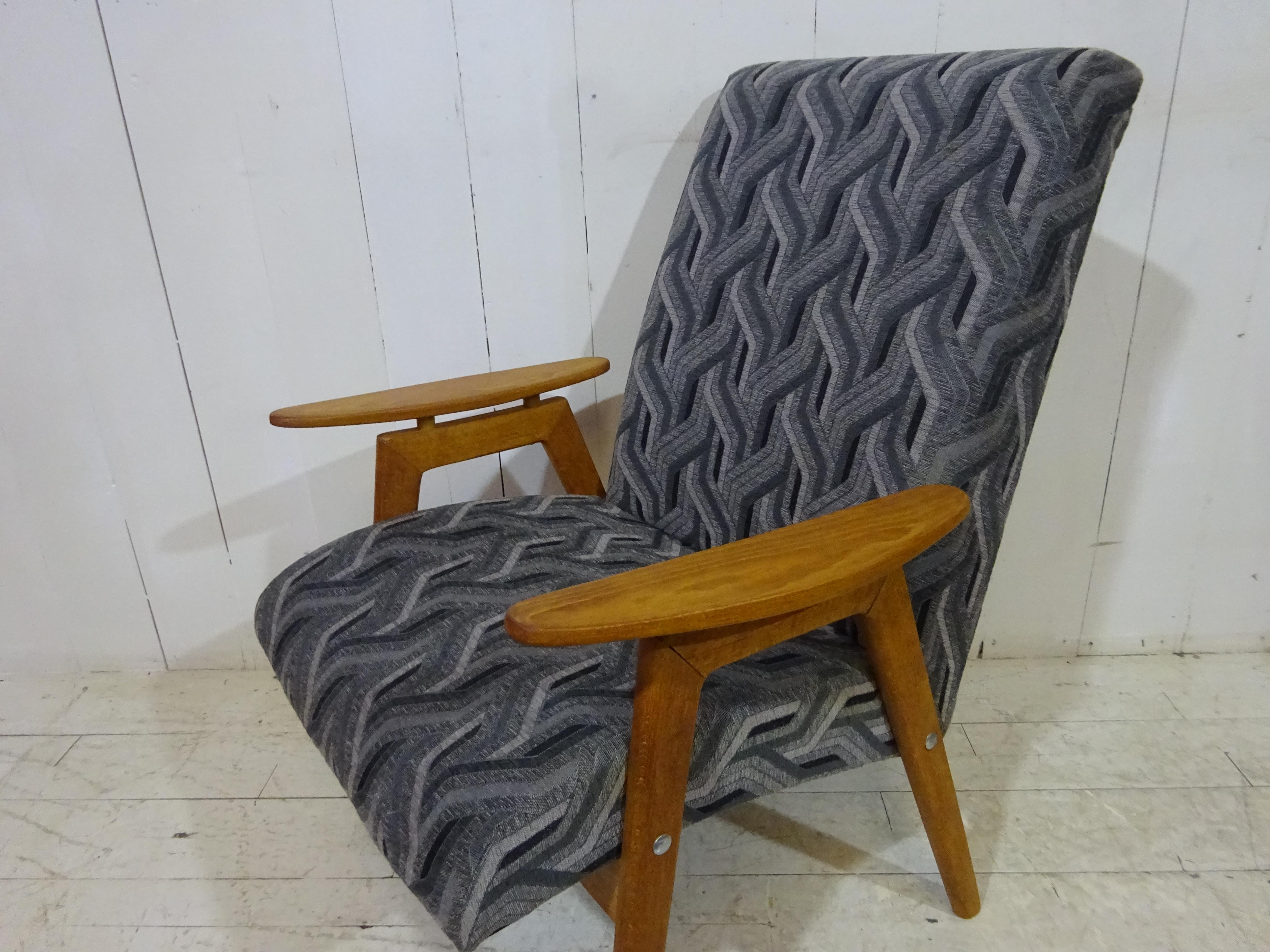 Mid Century Lounge Chair by Smidek For Sale 1