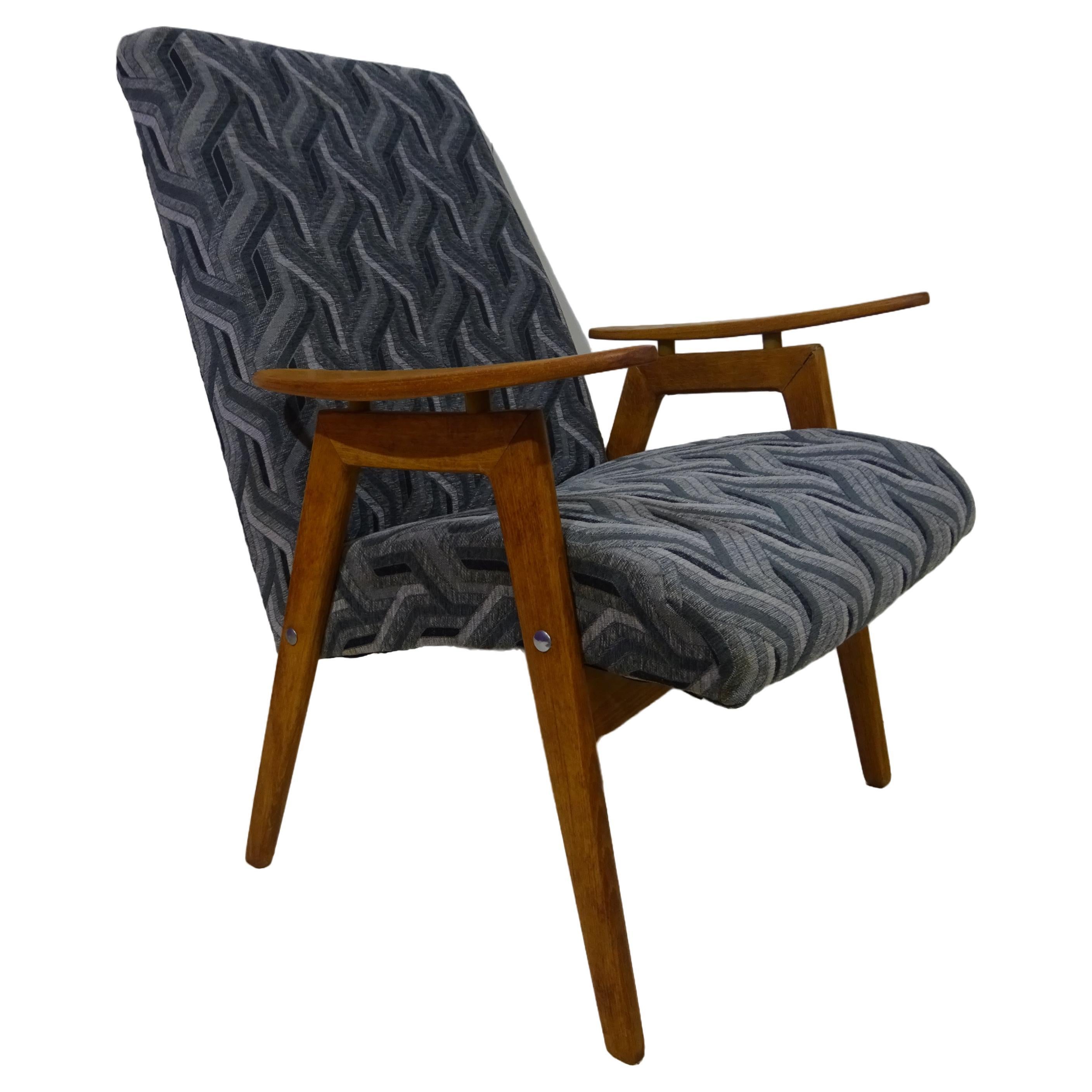 Mid Century Lounge Chair by Smidek For Sale