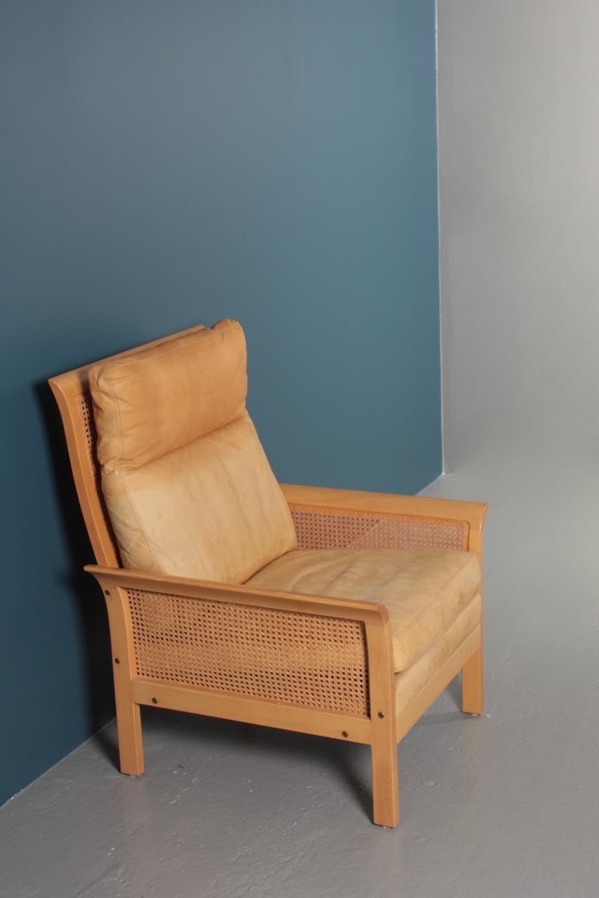 Midcentury Lounge Chair in Patinated Leather and Cane Designed by Arne Norell 3