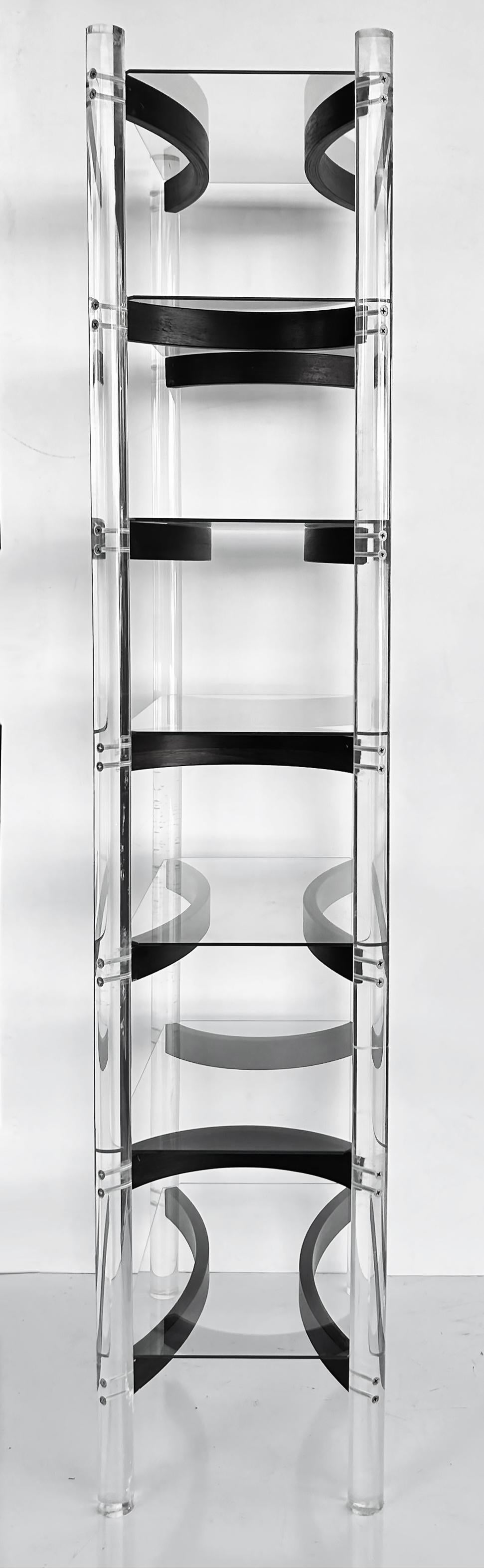 Etagere-Vitrinenschrank aus Lucite, Holz und Glas mit geschwungenen Regalstützen aus der Mitte des Jahrhunderts (amerikanisch) im Angebot