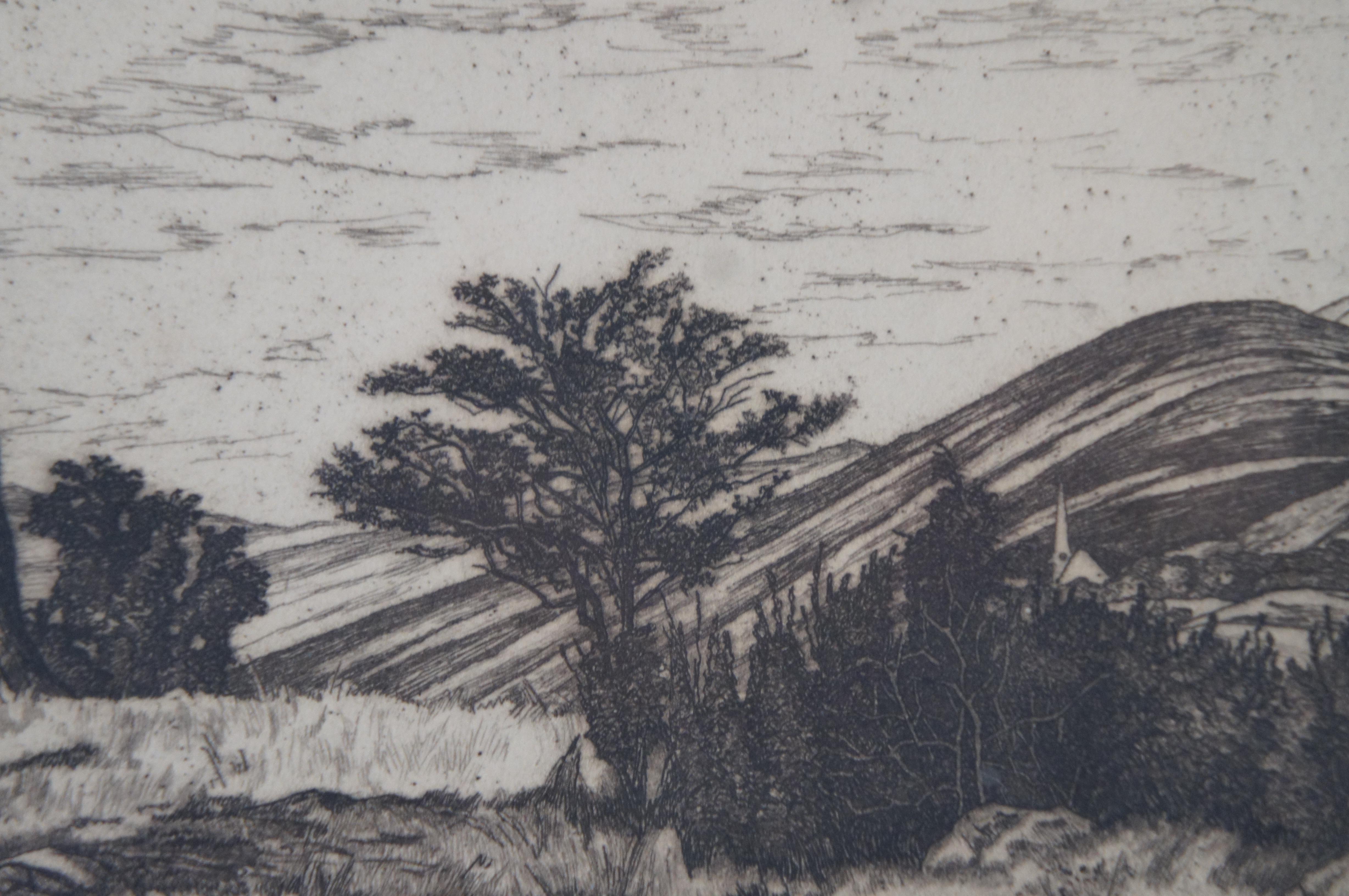 Midcentury Luigi Lucioni Hilltop Elms Tree Landscape Etching, 1955  5