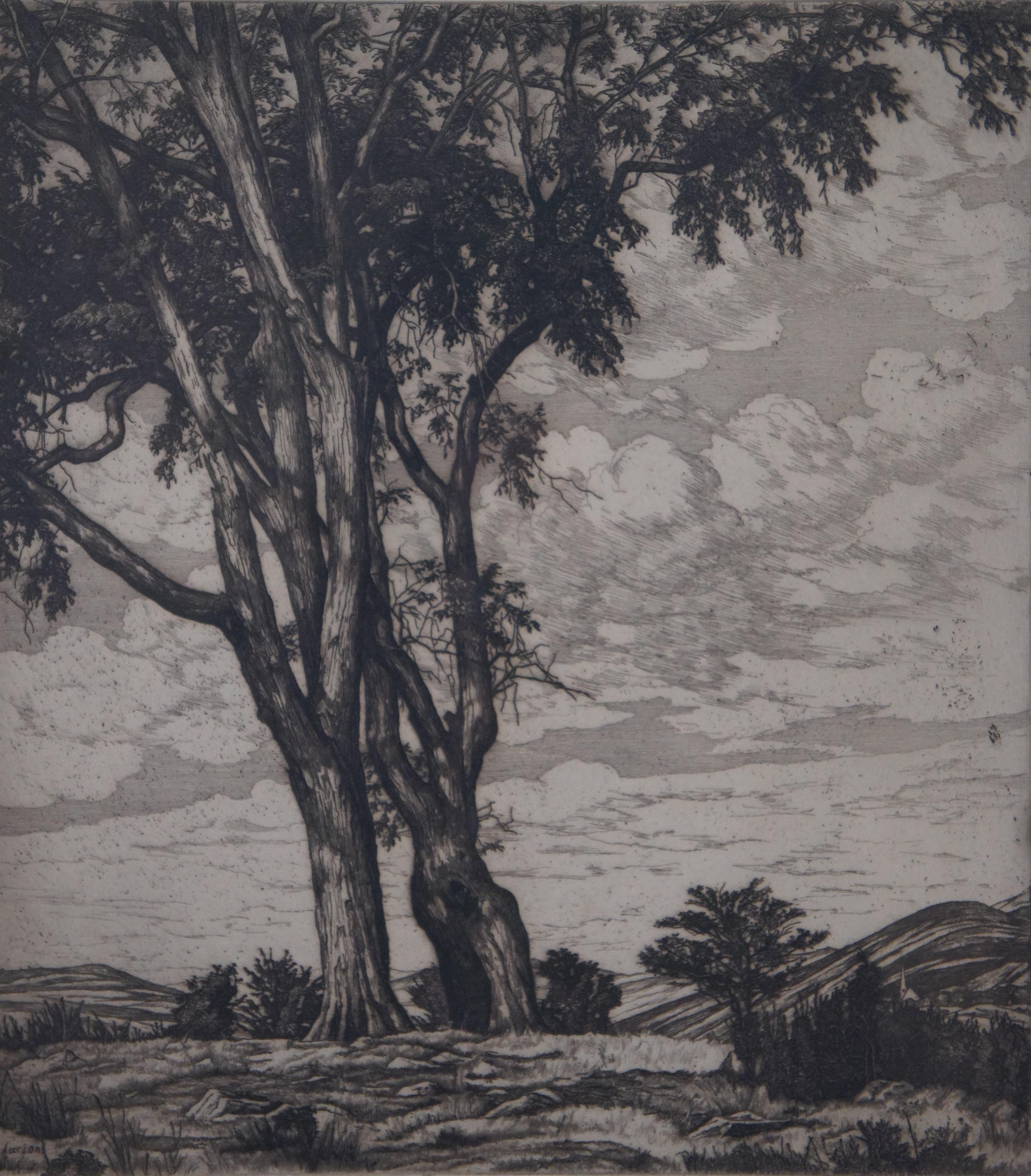 Midcentury Luigi Lucioni Hilltop Elms Tree Landscape Etching, 1955  2