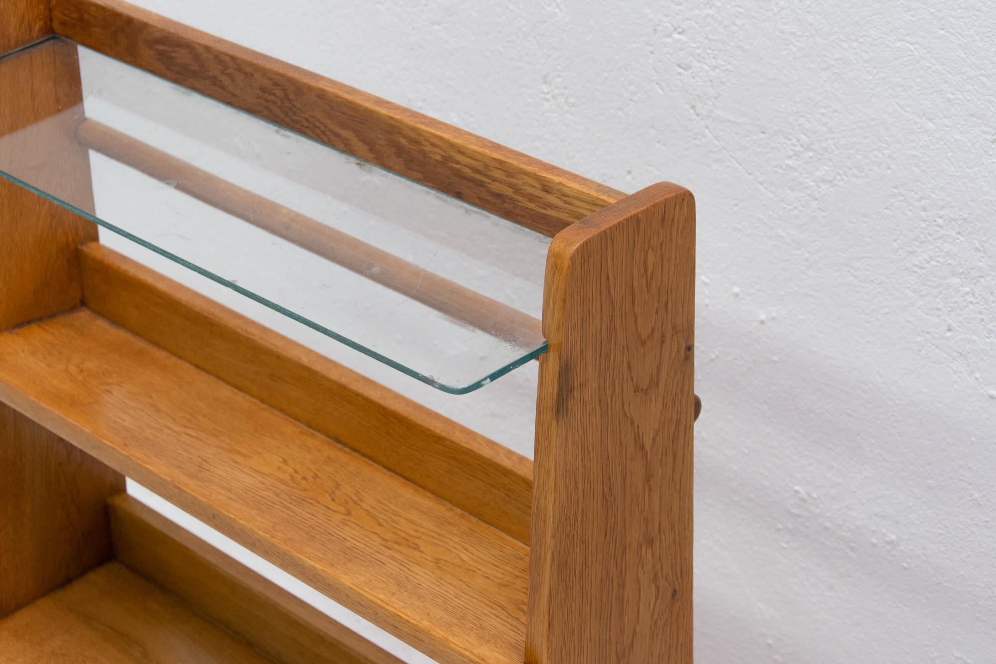 Midcentury Magazine Rack by Krásná Jizba, Czechoslovakia, 1950s 4