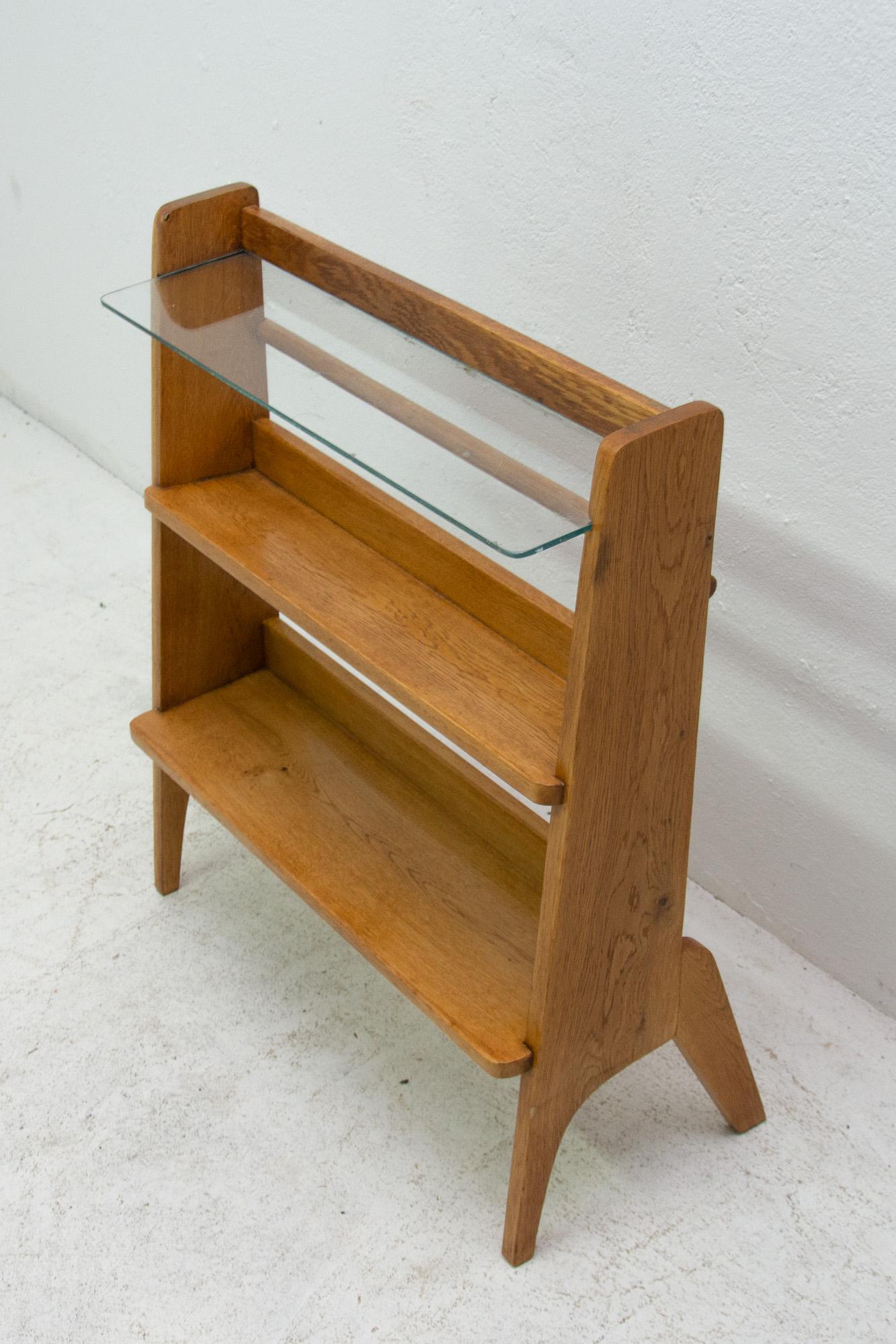 Midcentury Magazine Rack by Krásná Jizba, Czechoslovakia, 1950s 1