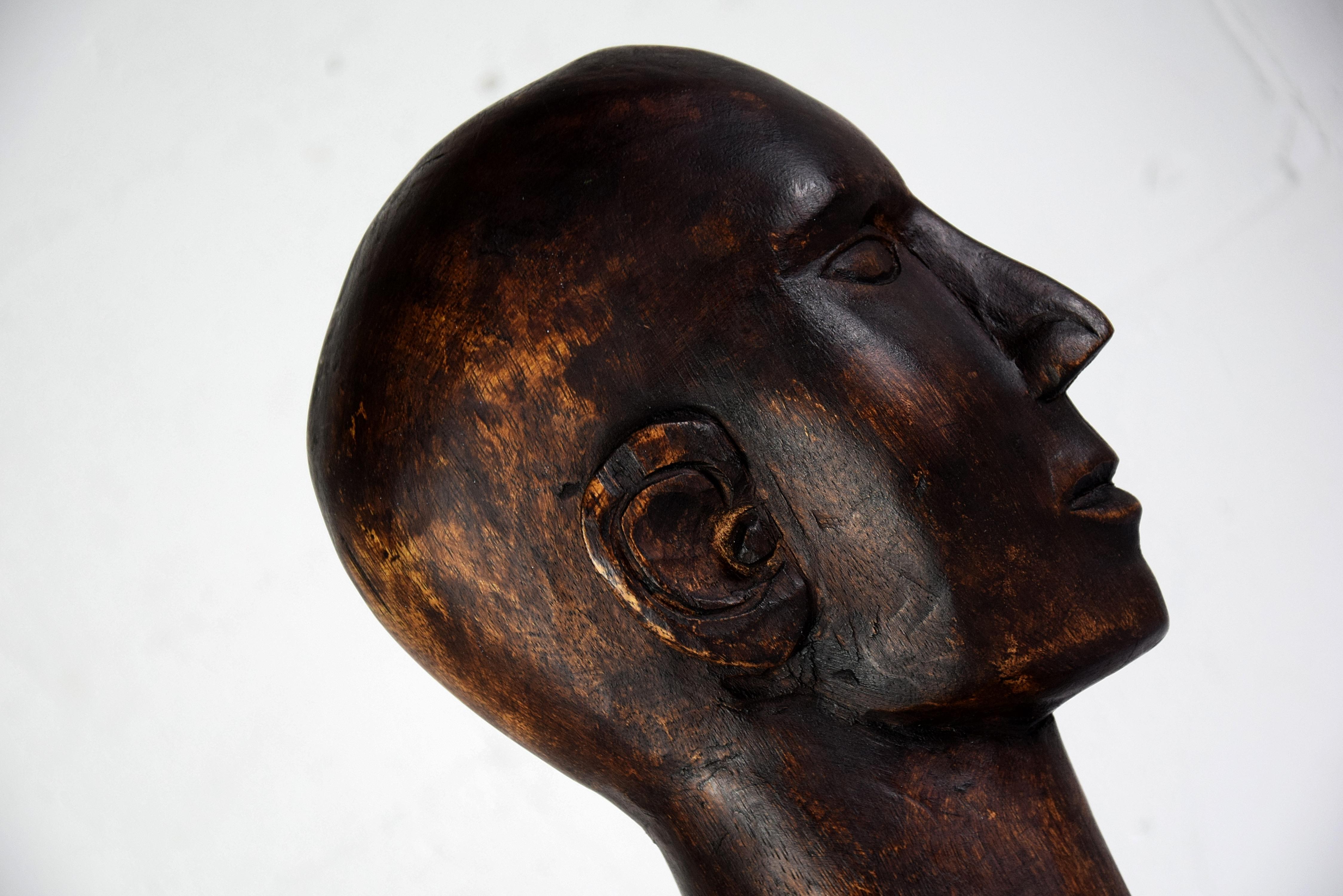 Mid-century Masculine Wooden Sculpture Testa For Sale 3