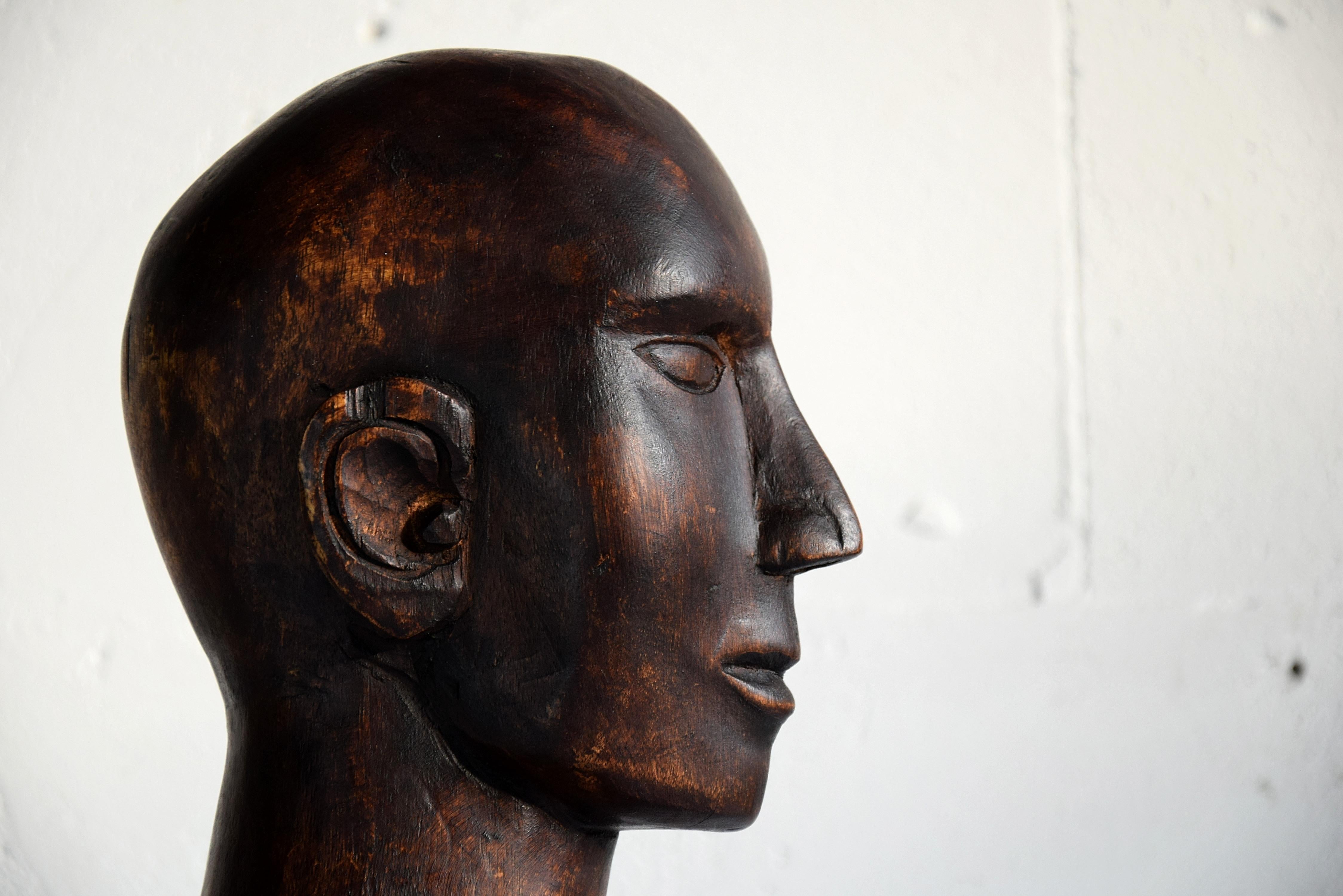 Mid-century Masculine Wooden Sculpture Testa For Sale 7