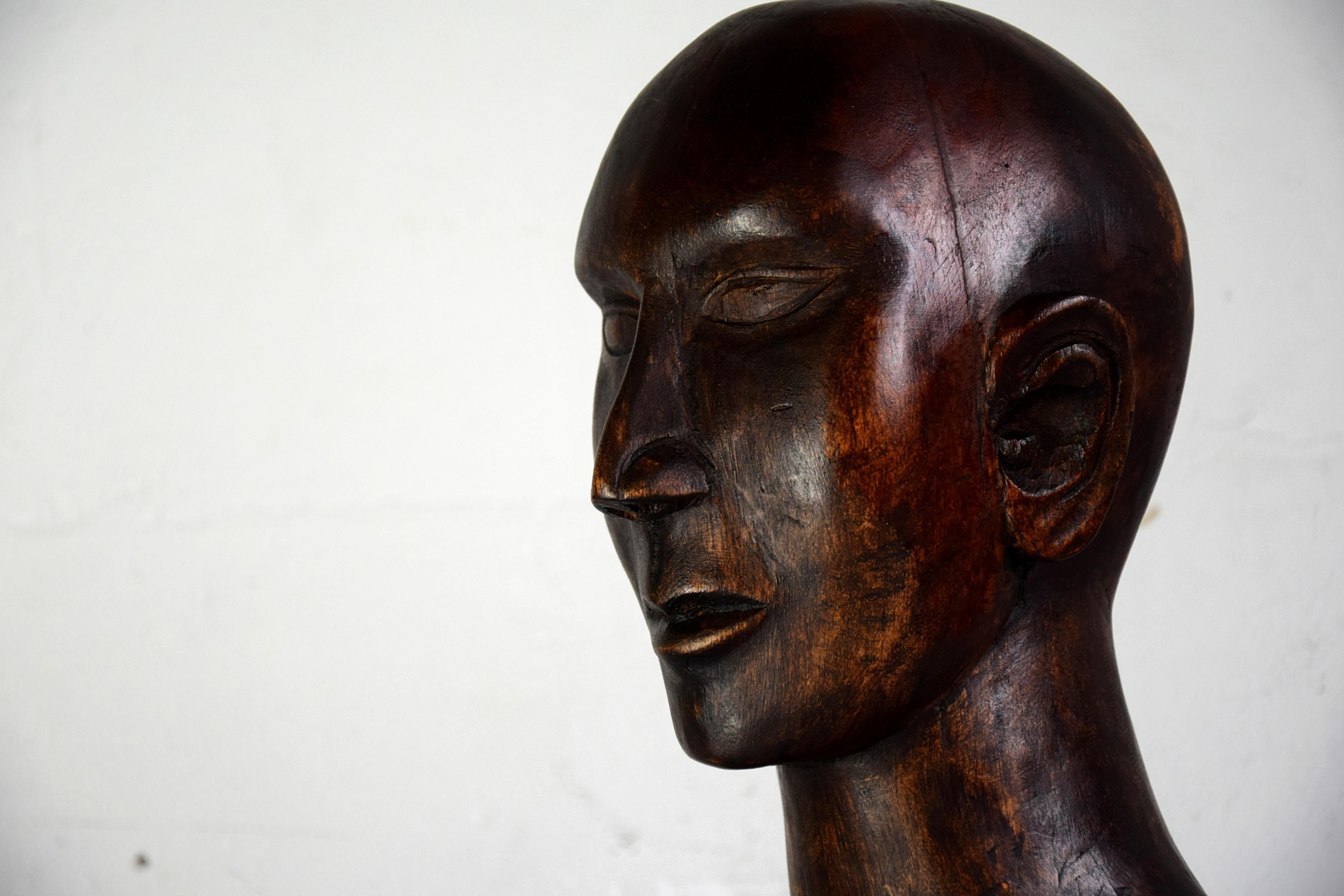 Mid-20th Century Mid-century Masculine Wooden Sculpture Testa For Sale