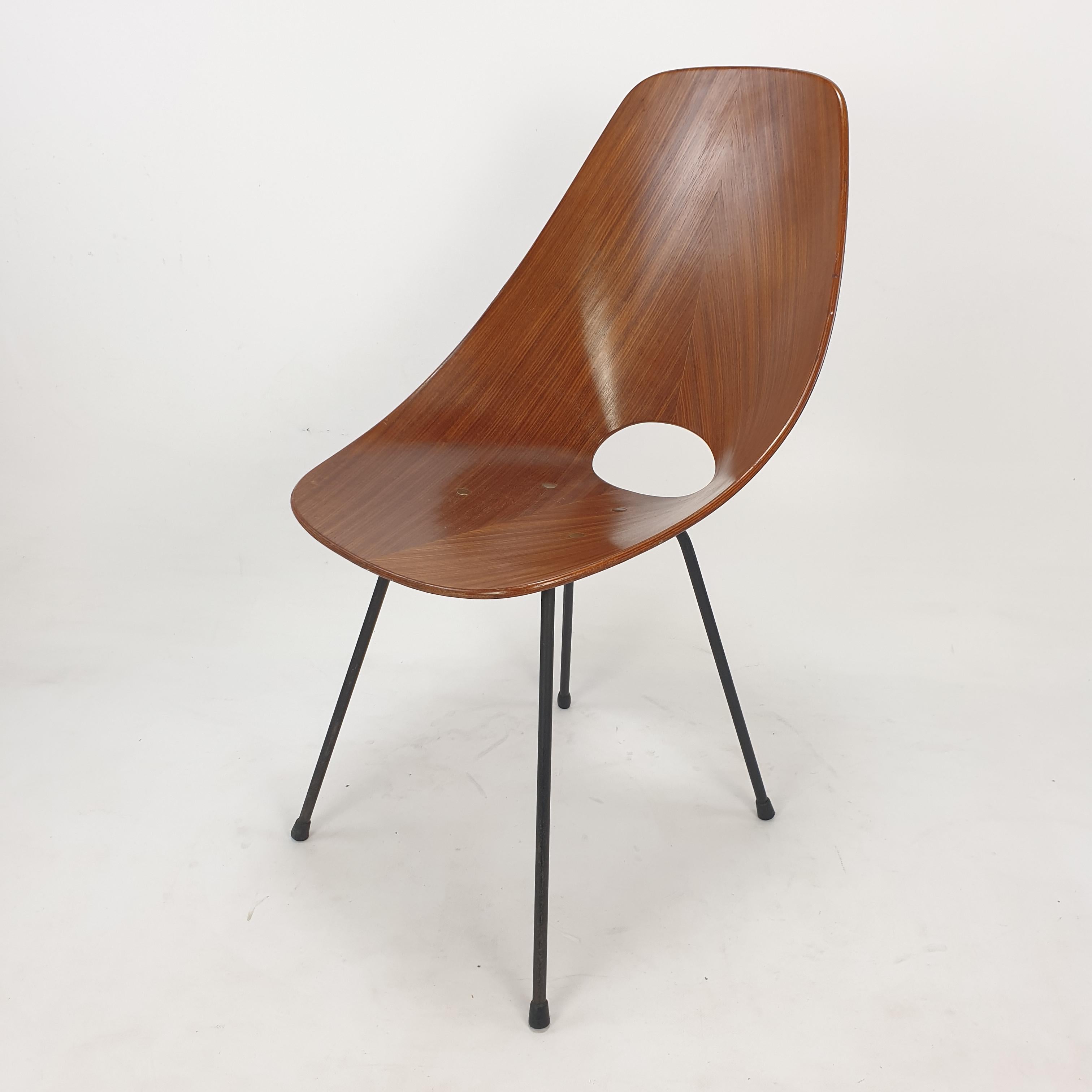 Mid Century Medea Chair by Vittorio Nobili for Fratelli Tagliablue, 50's 3