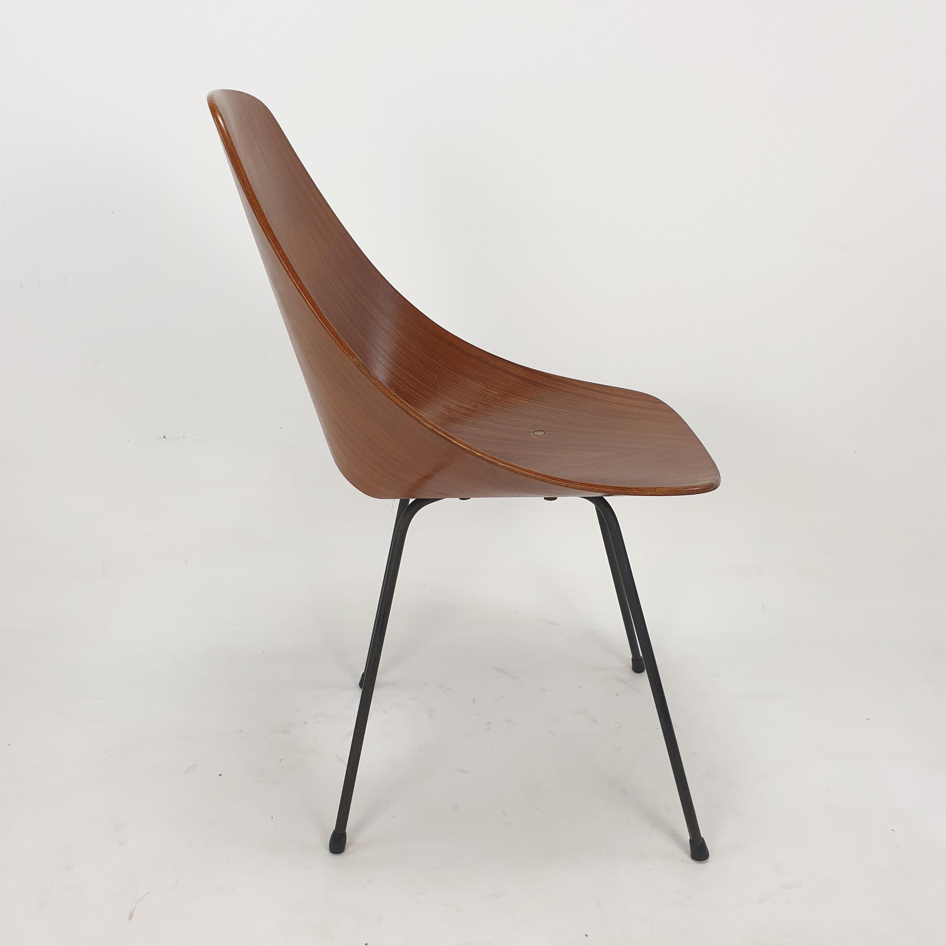 Mid Century Medea Chair by Vittorio Nobili for Fratelli Tagliablue, 50's 6