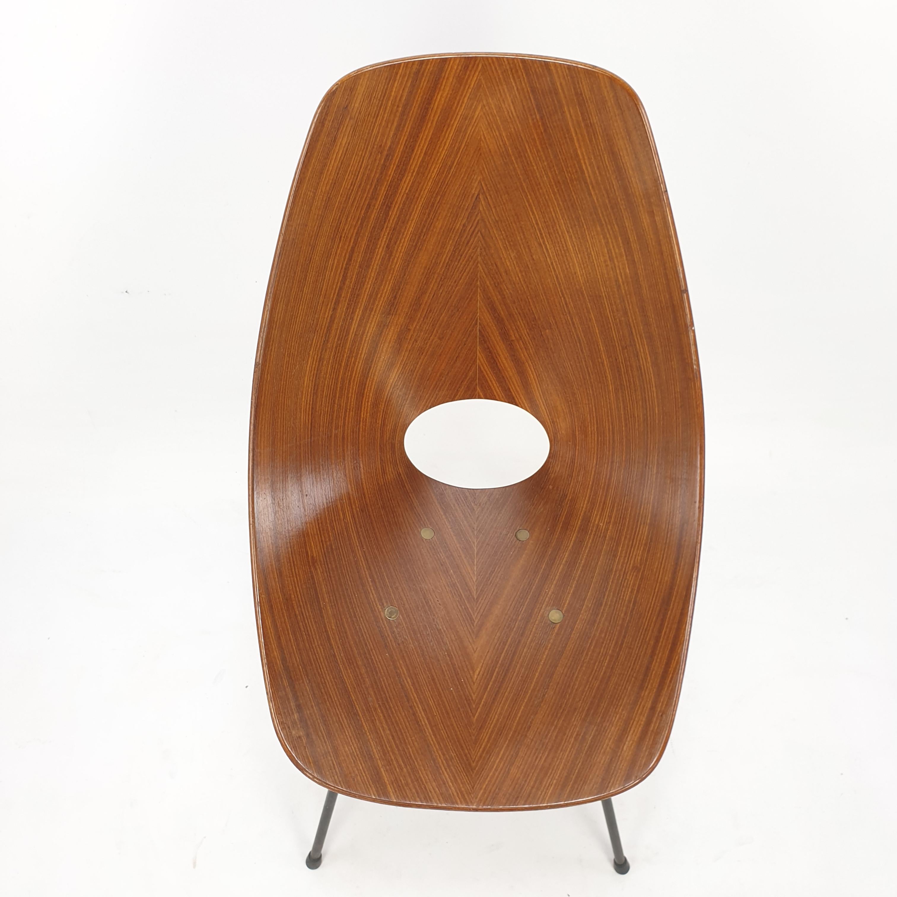 Mid Century Medea Chair by Vittorio Nobili for Fratelli Tagliablue, 50's 8