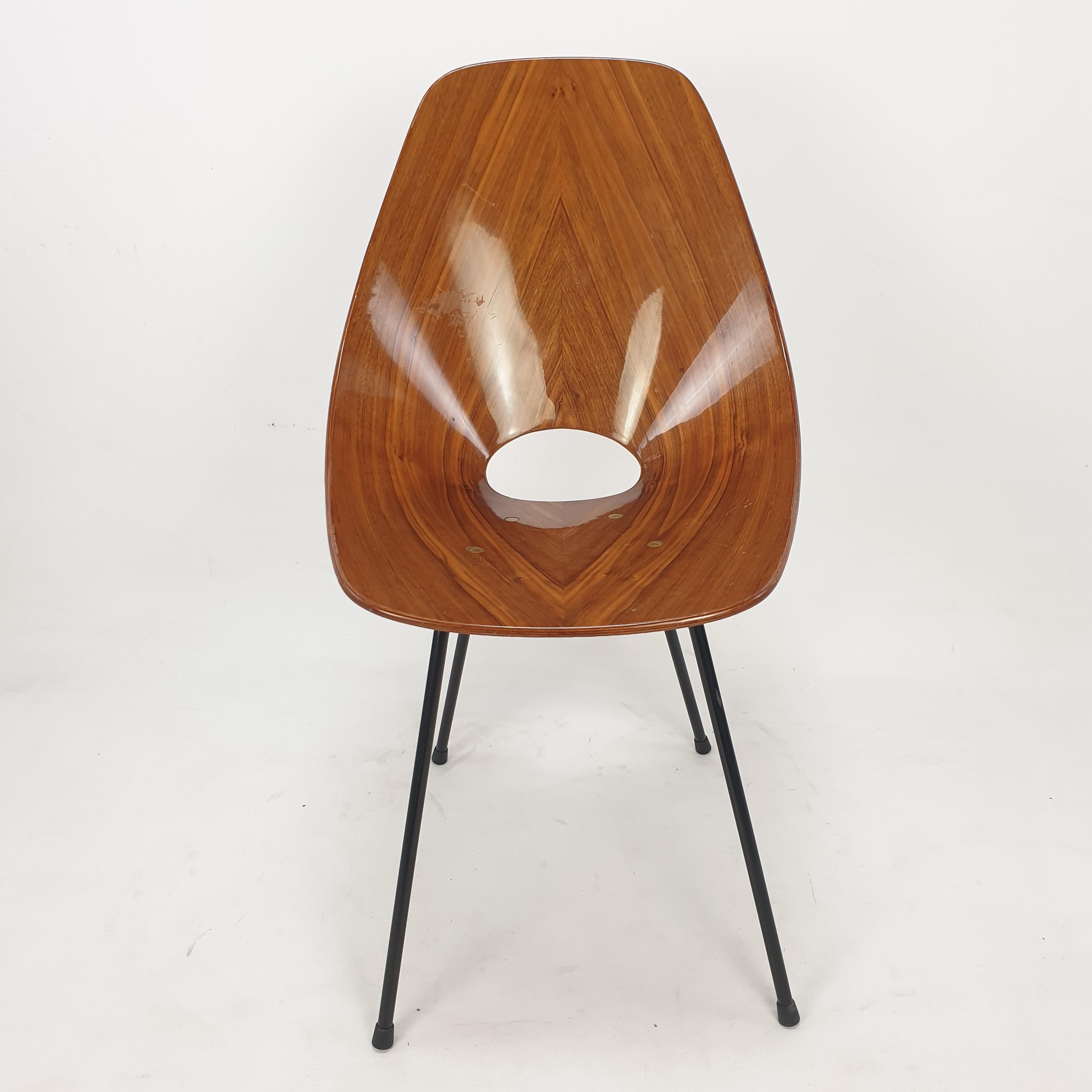 Italian Mid Century Medea Chair by Vittorio Nobili for Fratelli Tagliablue, 50's For Sale